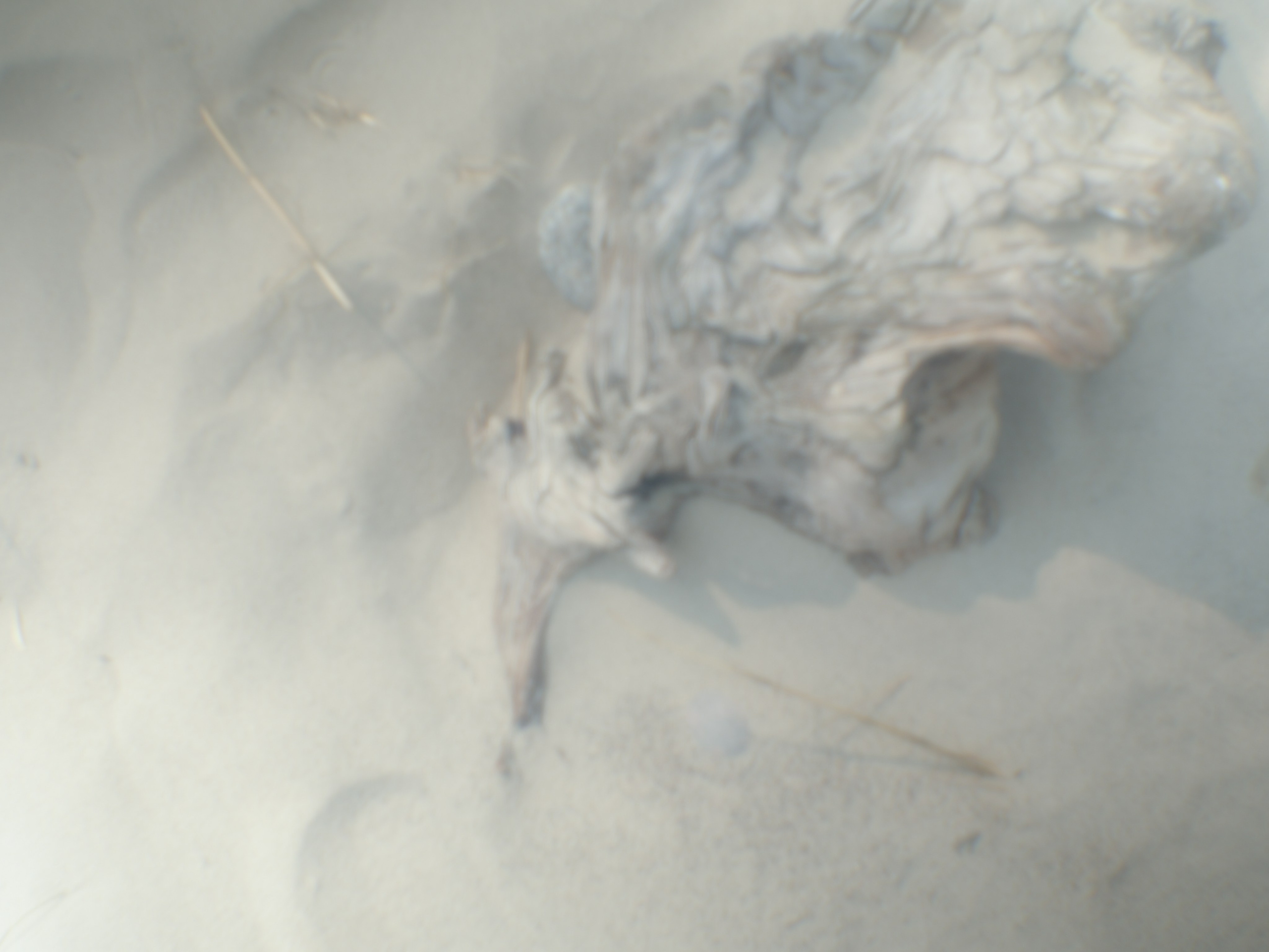 «Искусство XXI века» Краснодар. ARTEXPOPHOTO