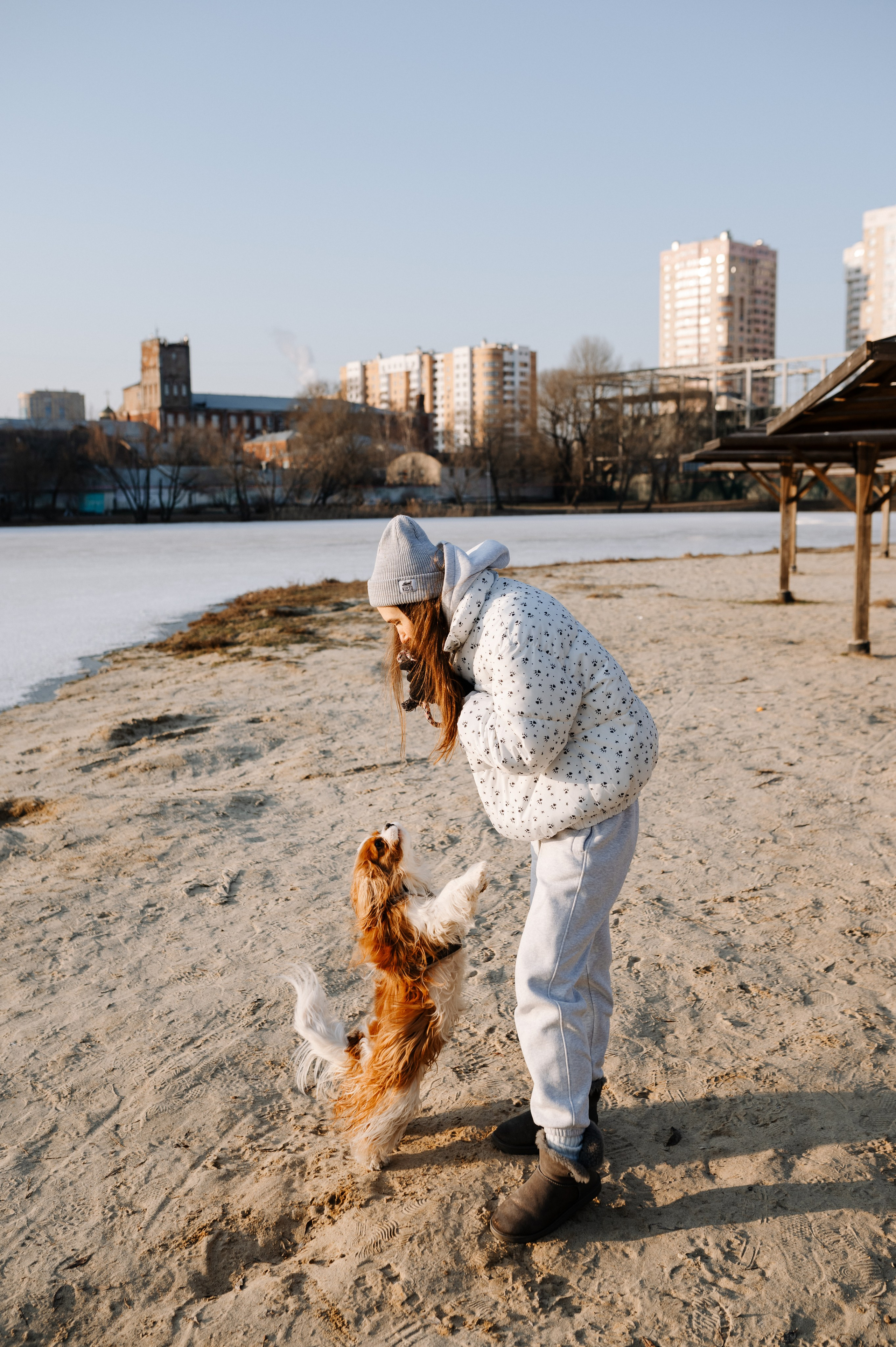 Лена и Арчи. Фотограф анималист в Москве Ольга Агушева