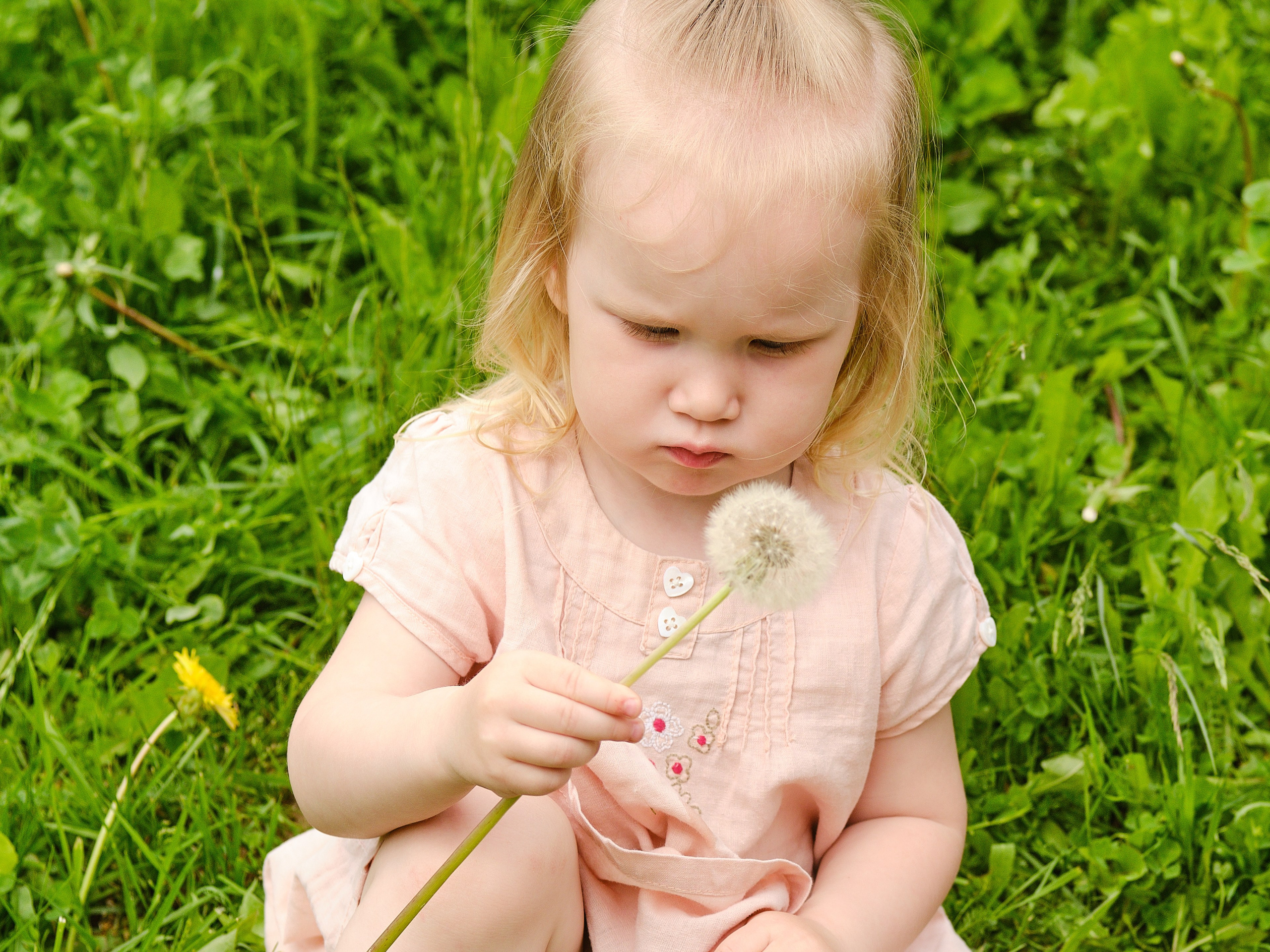 Семейная съёмка (Репортаж)