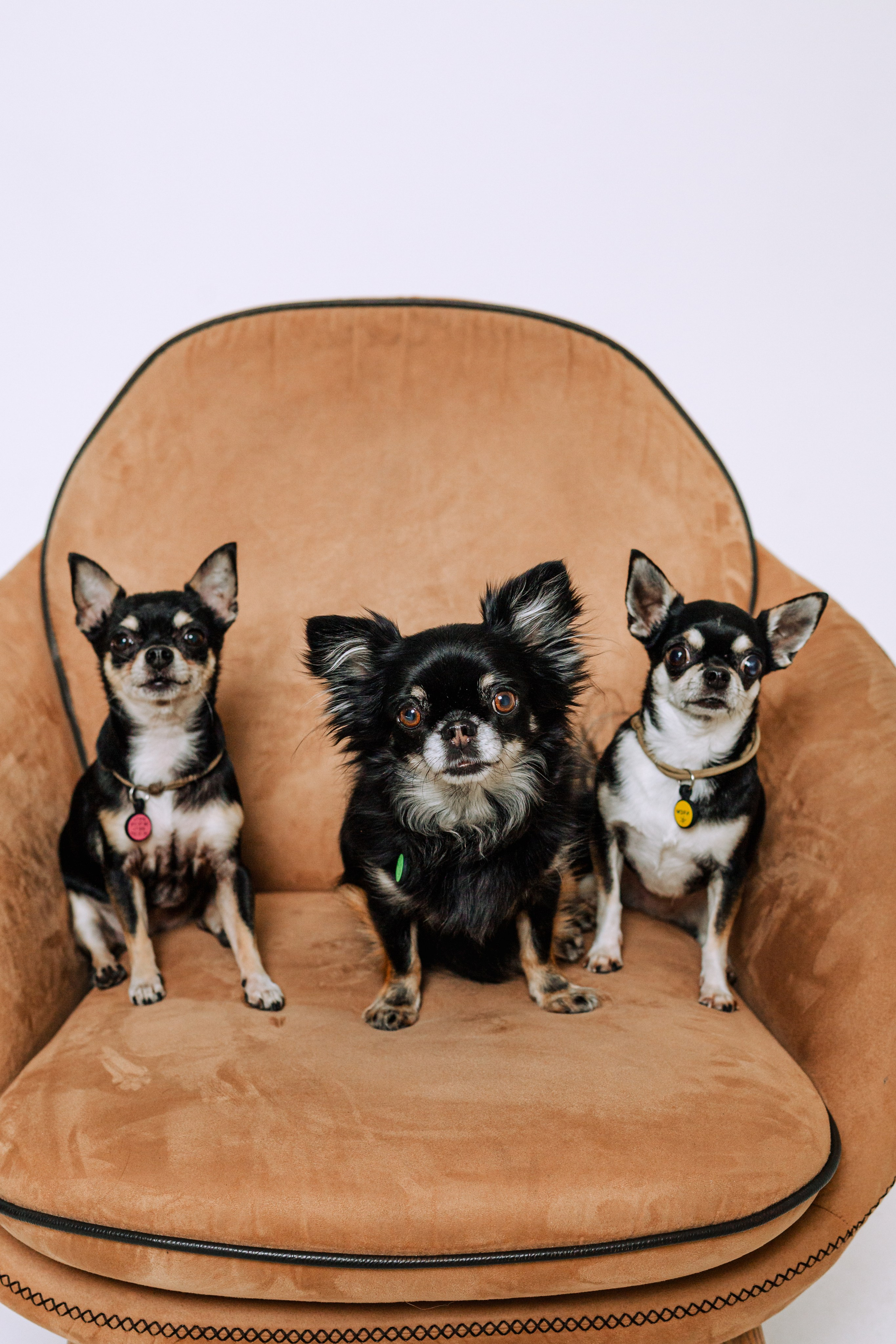 Семейная фотосессия. Фотограф-анималист Татьяна Степанова