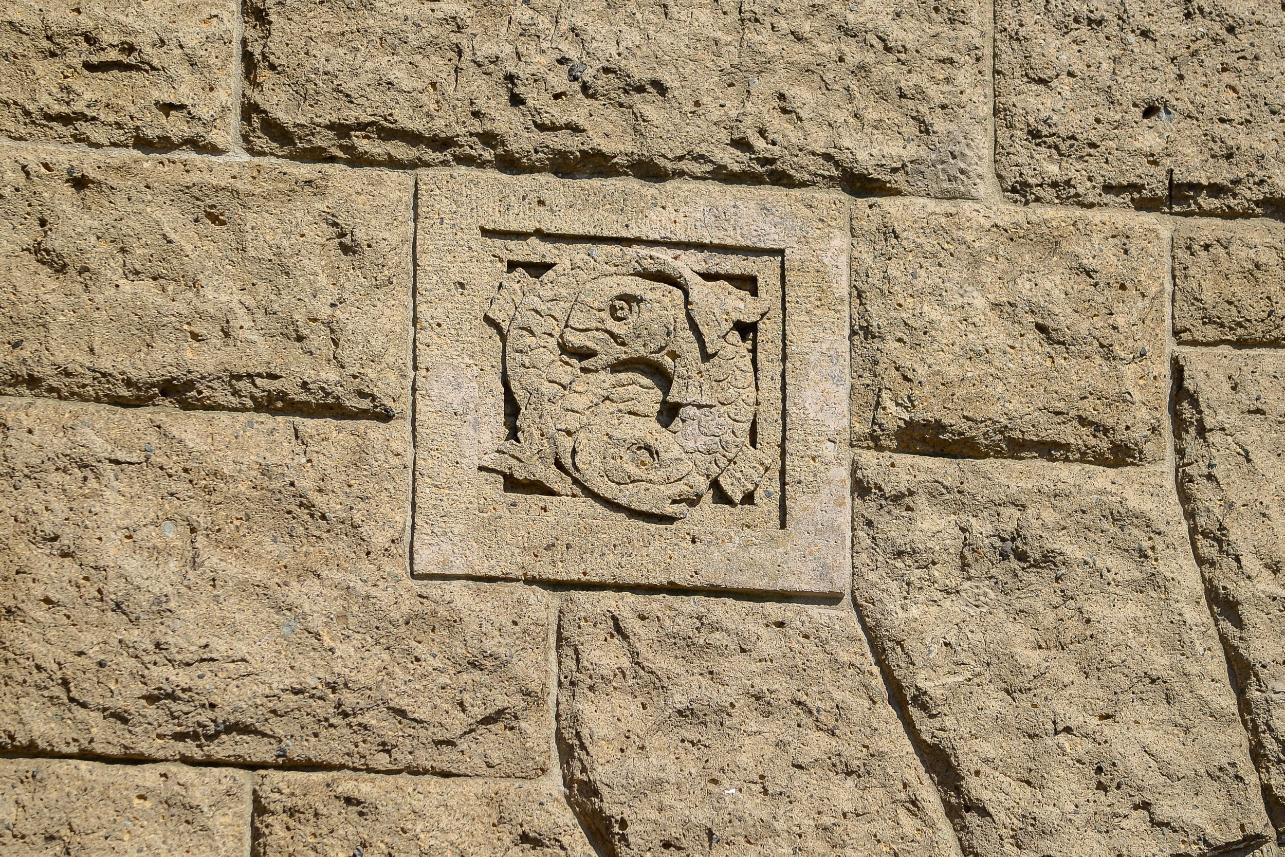 корпоратив, тимбилдинг, юбилей, Фотограф на праздник, Беларусь, минск фотограф, репортажной фотограф Беларусь,  фотограф в Минске, Алексей Матюшков, фоторепортер Беларуси, Репортажная съемка мероприятий,  день рождения, Тоннель через Эльбу