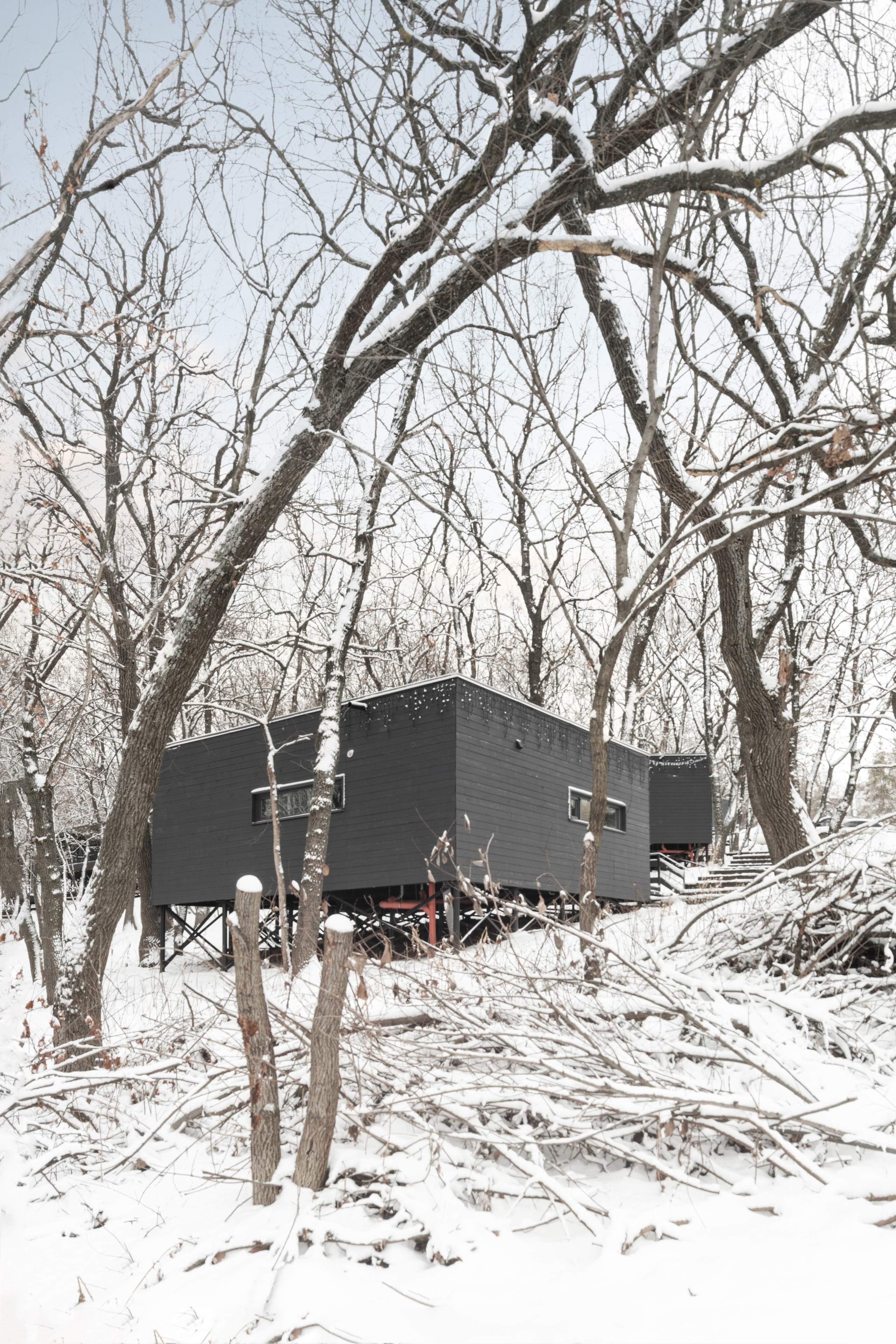 ХОЛМ. SAAS Селиванов Алексей Архитектурная Студия