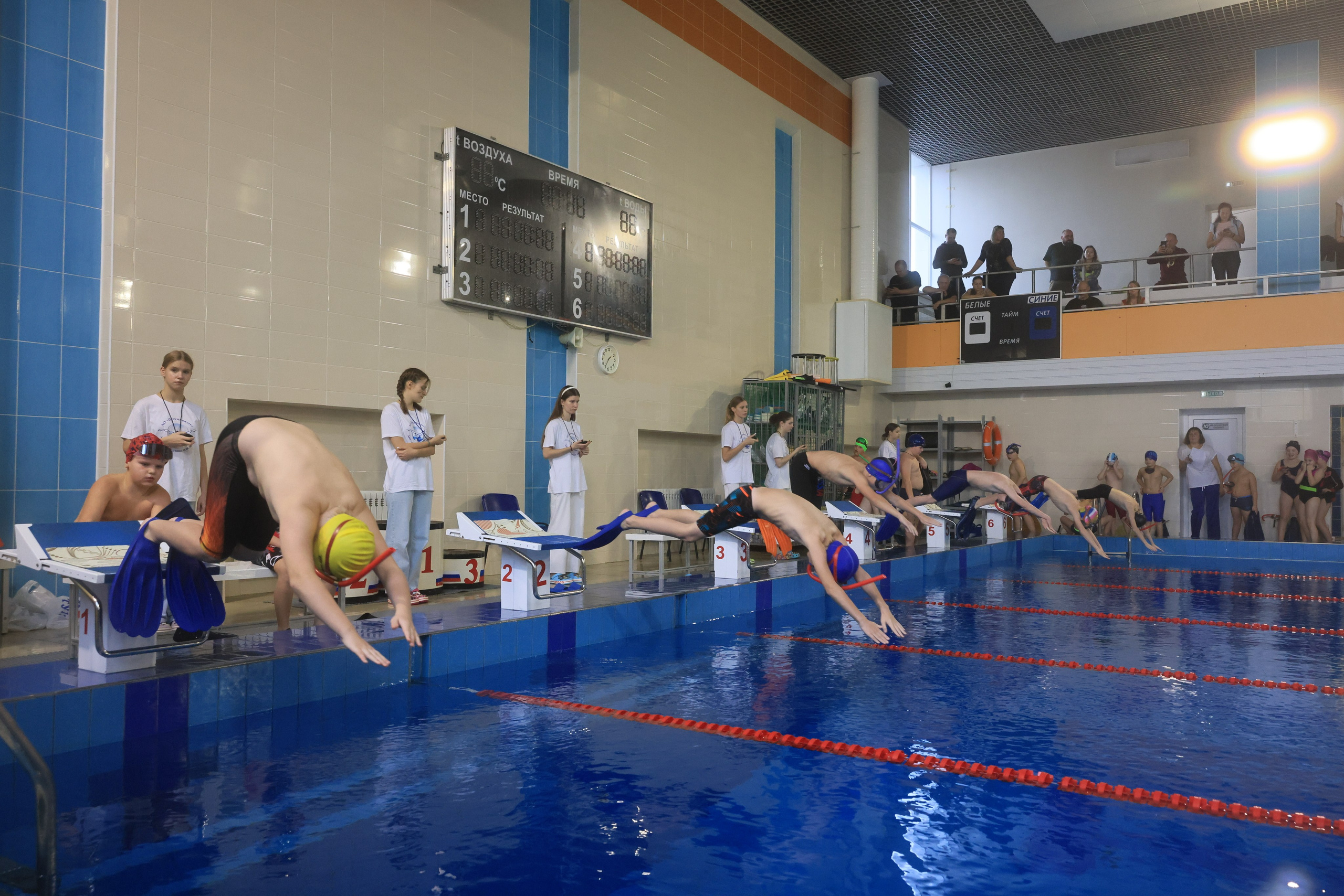 Плавание в ластах (разные годы, более 10 репортажей выборка пополняемая). Фотограф в Туле Крупский АнДРей. Фотостудия «КАДР71» в Туле