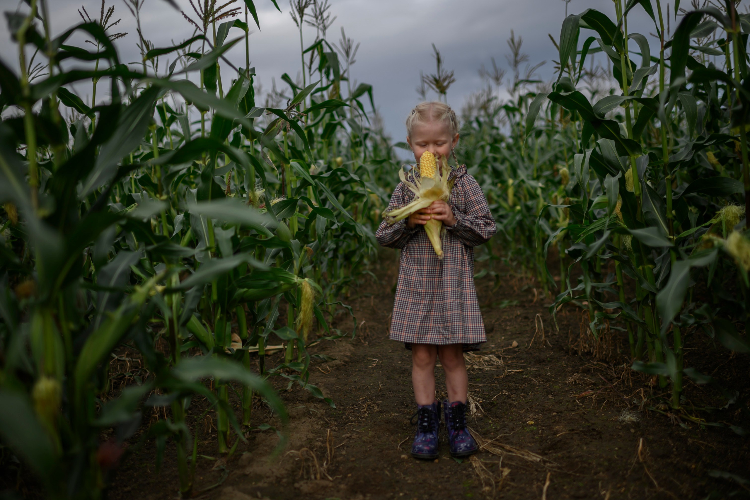 КУКУРУЗА. Семейный фотограф Екатеринбург Лора Мур