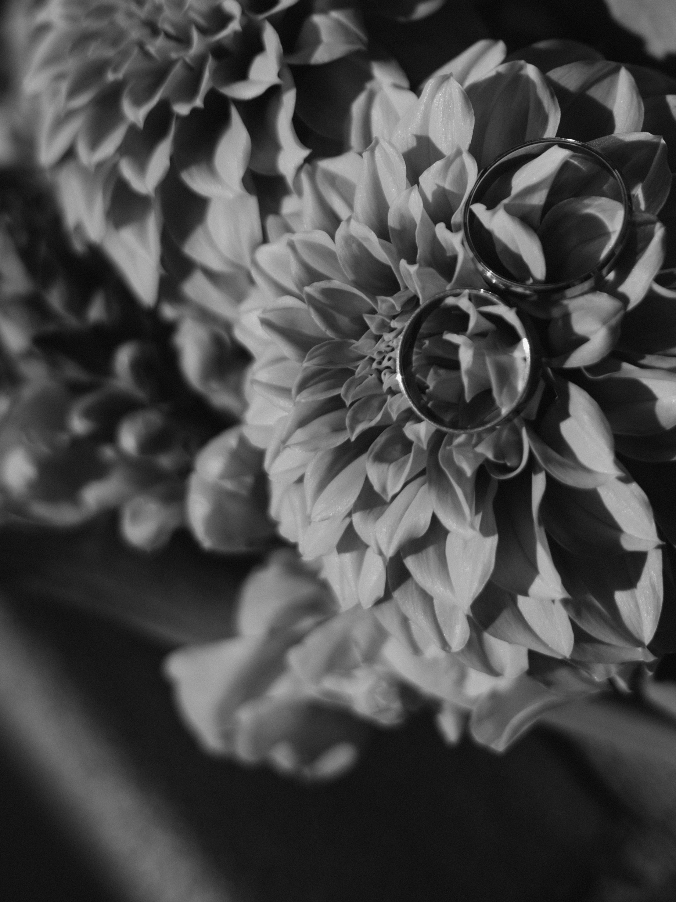 Макс и Ира. Juliashtondic. photo