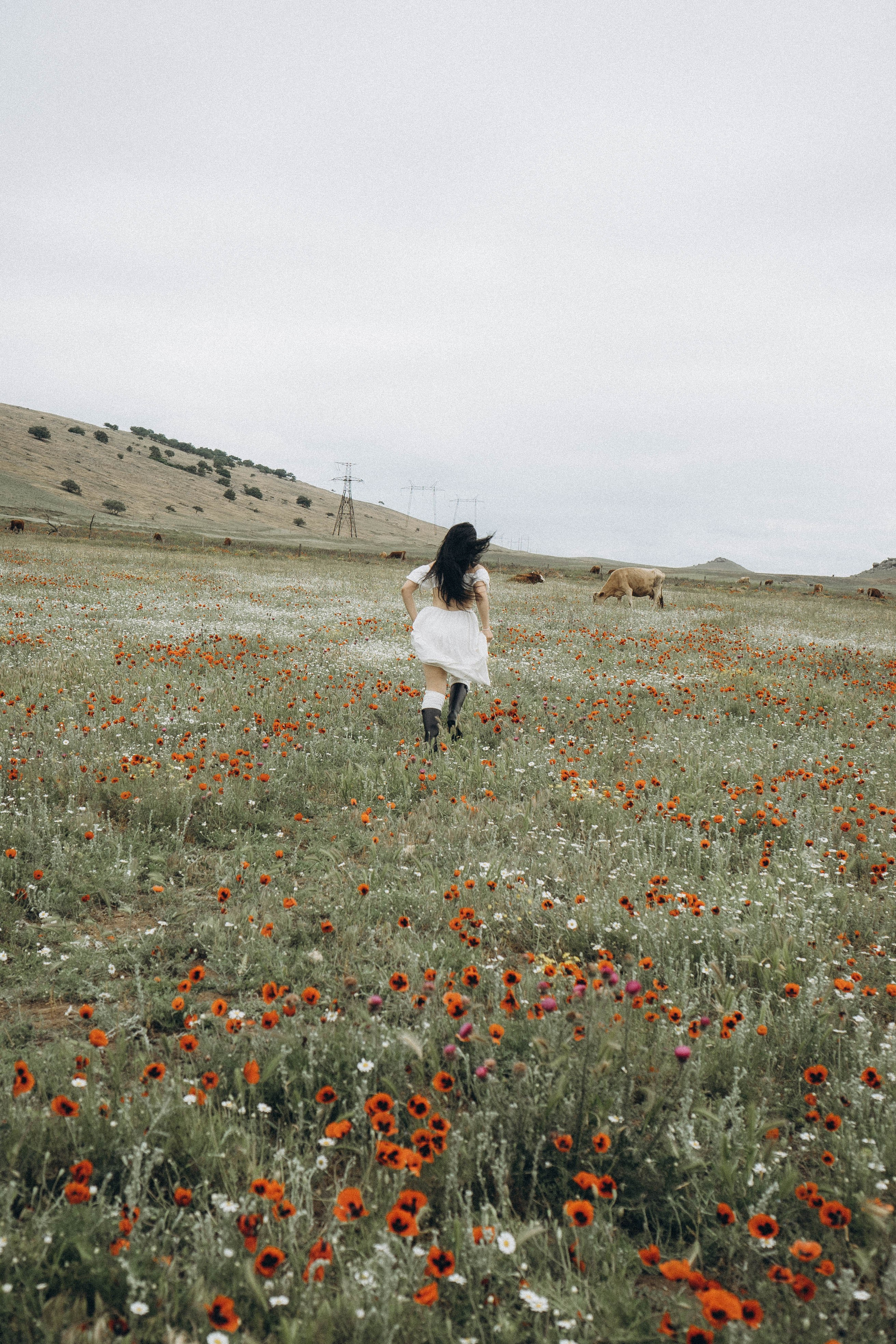 Маковое поле. Профессиональный фотограф, Санкт-Петербург — Виктория Богомолова