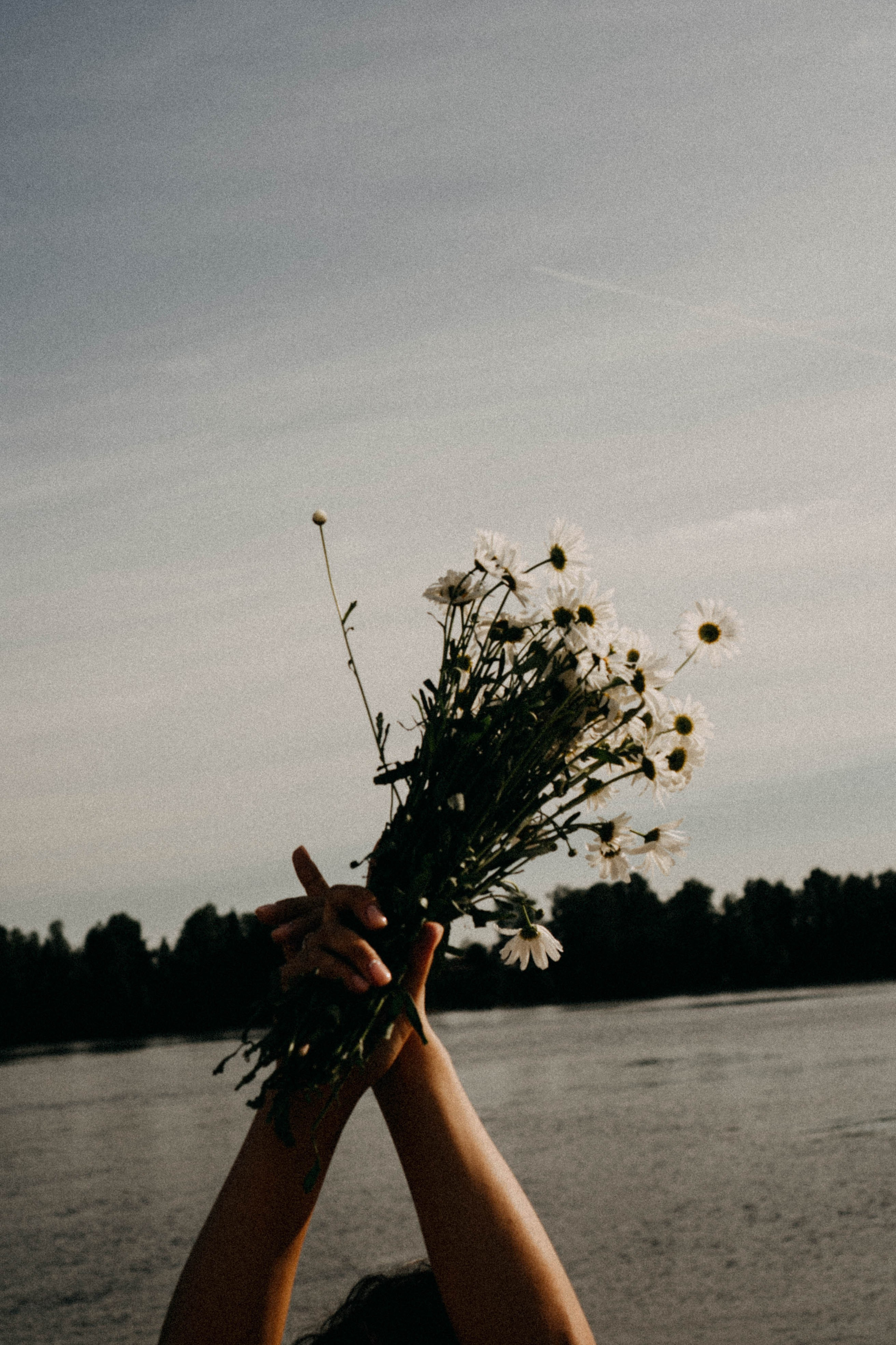 Летняя прогулка. Профессиональный фотограф, Санкт-Петербург — Виктория Богомолова