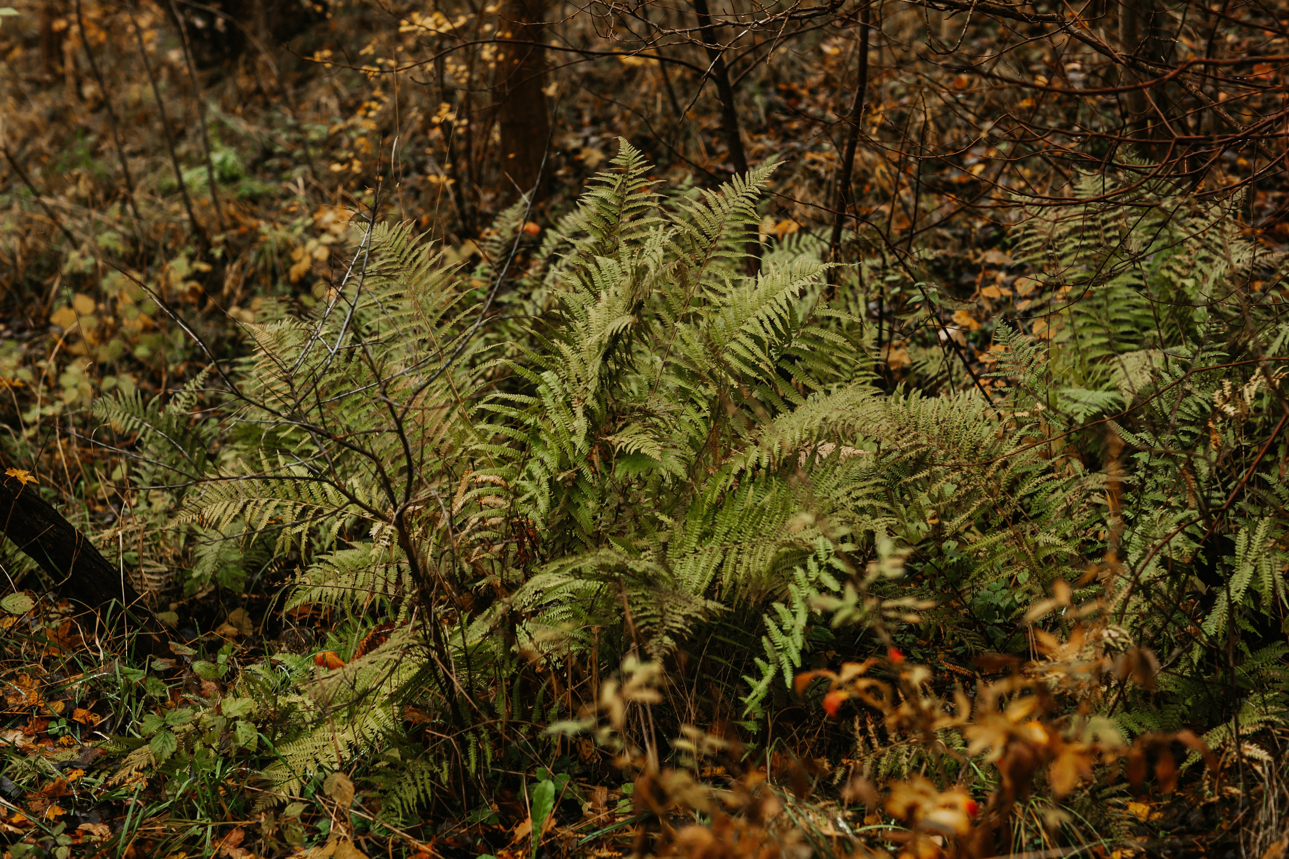 Фотосессия в Балтийске. Https://malovafoto.ru