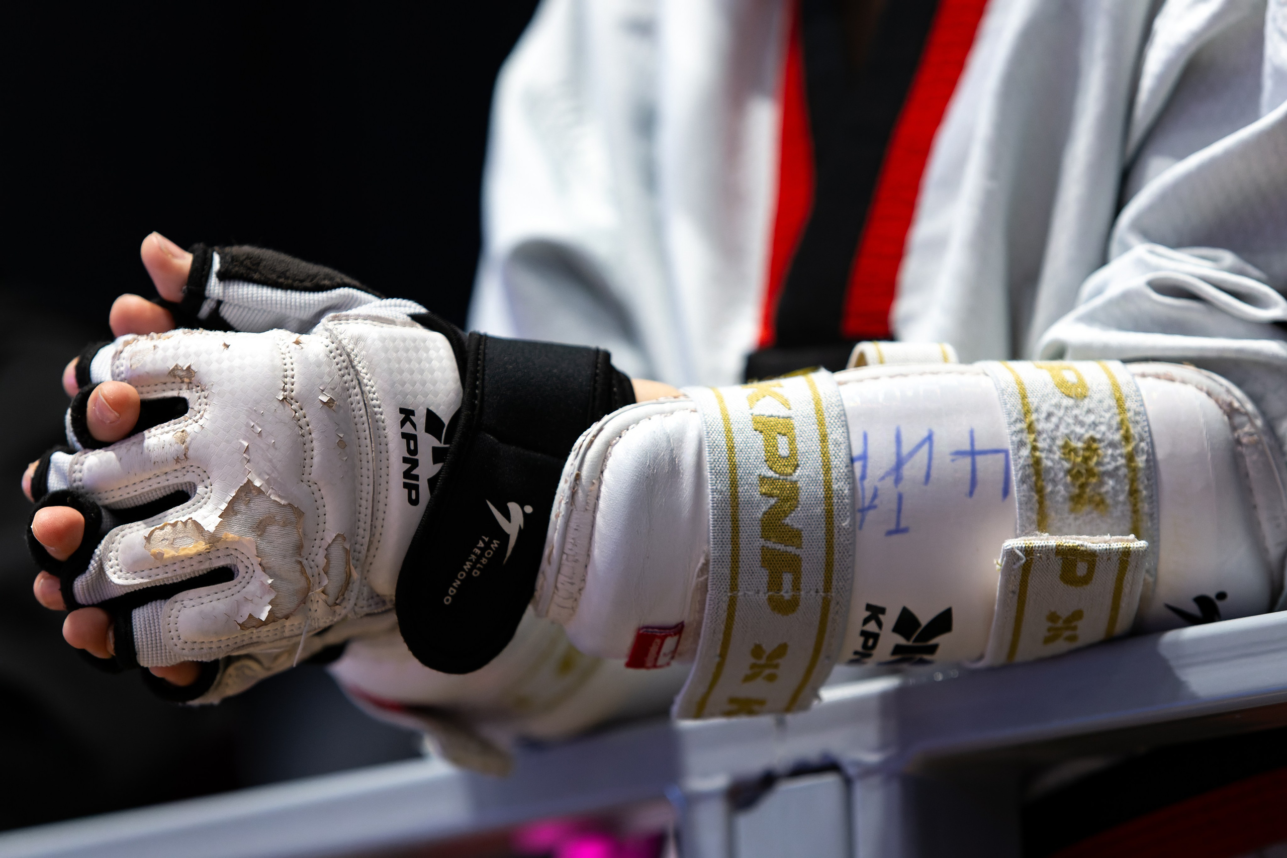 Дальневосточный фестиваль восточных единоборств. Кутузов Евгений Фотограф в Южно-Сахалинске