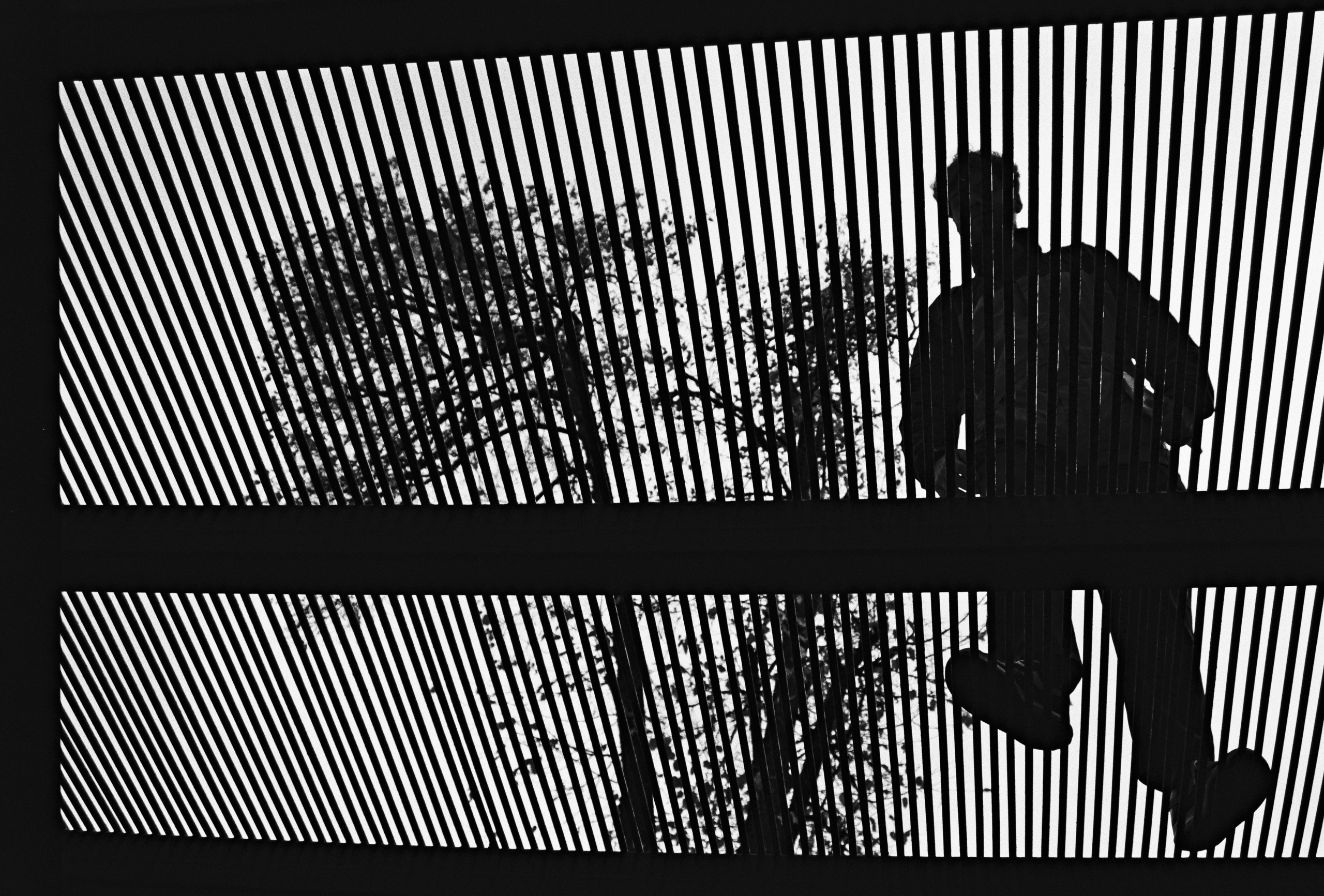 Film chronicle. Kosky ilya