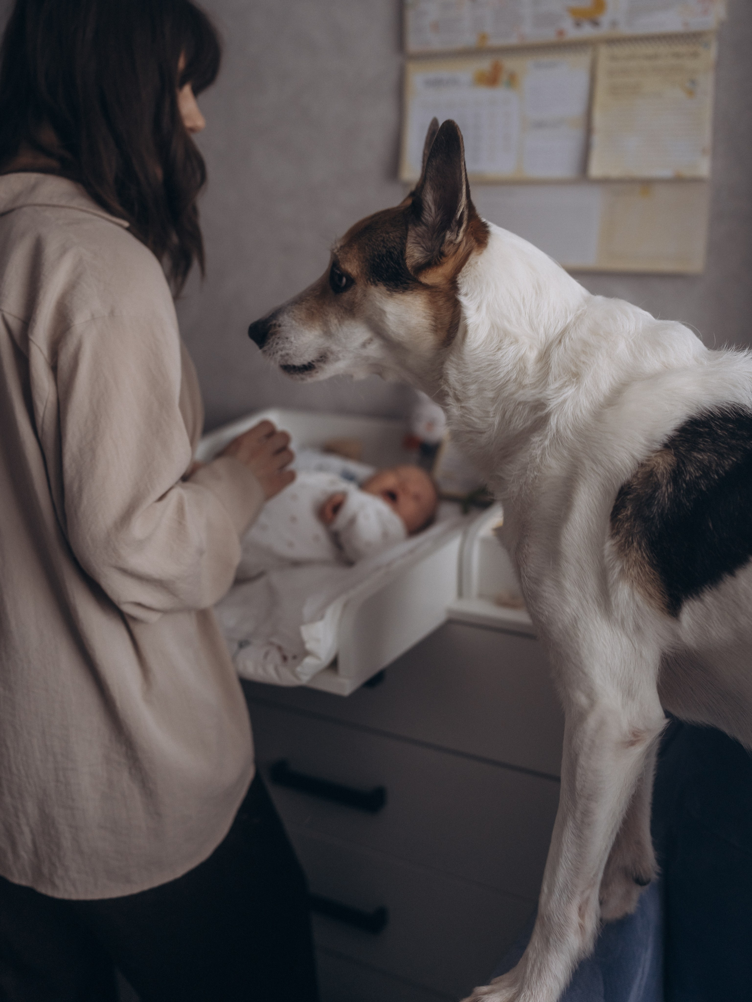 Варя и родители. Семейный фотограф и видеограф в Москве