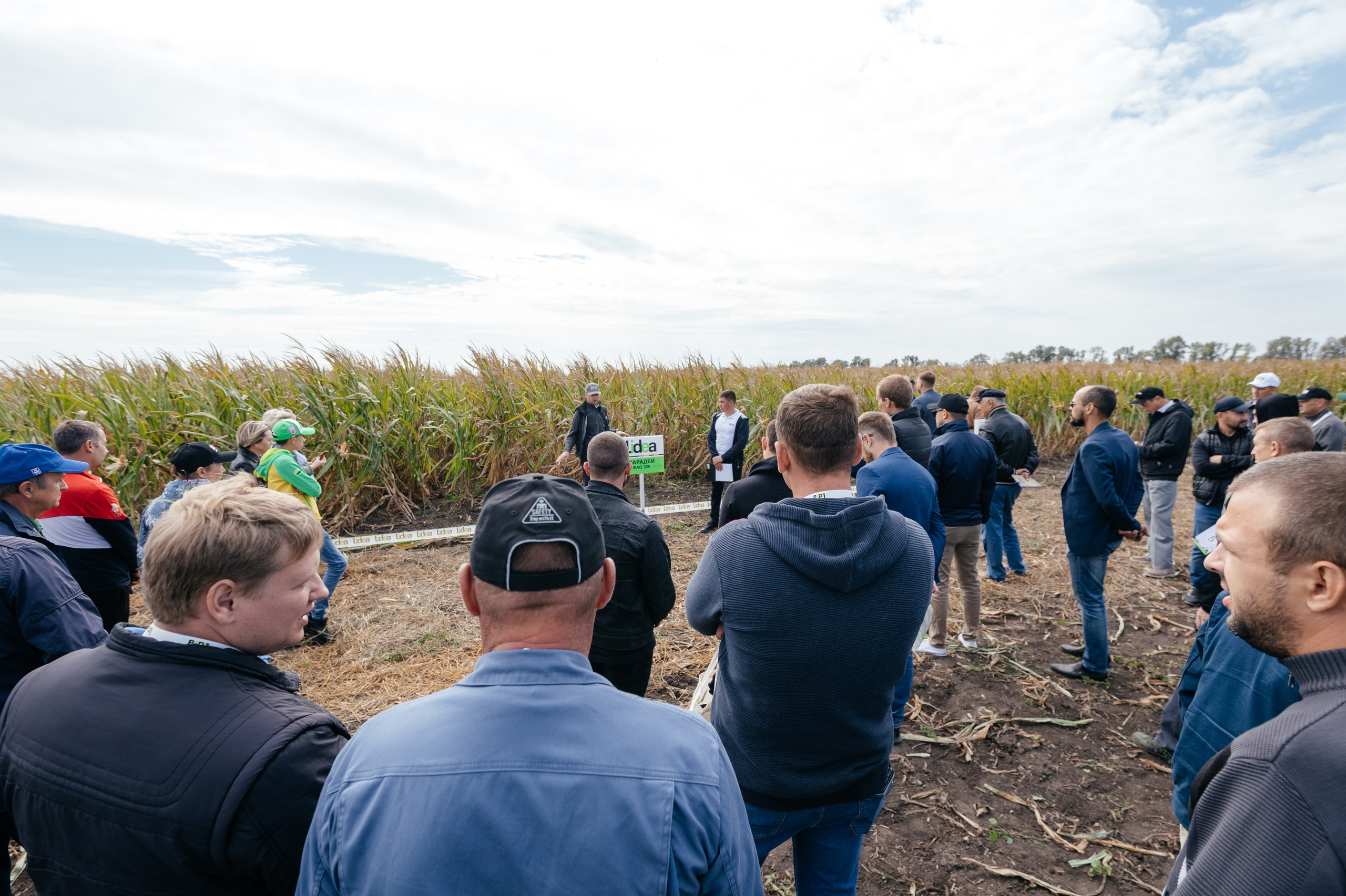 День поля. Фотограф Крохин Олег