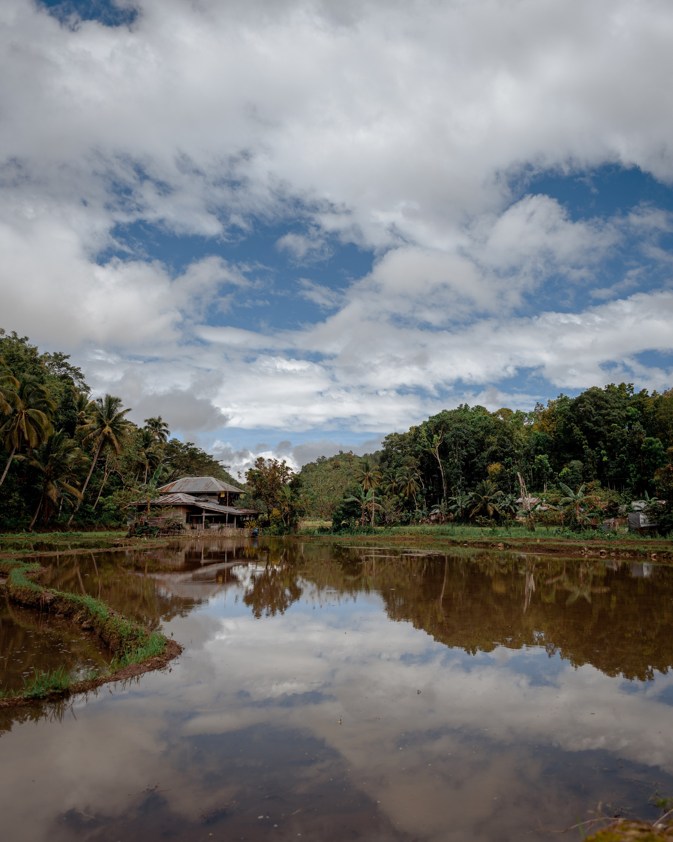 Philippines. Photographer in Tokyo Anatolii Ozarto