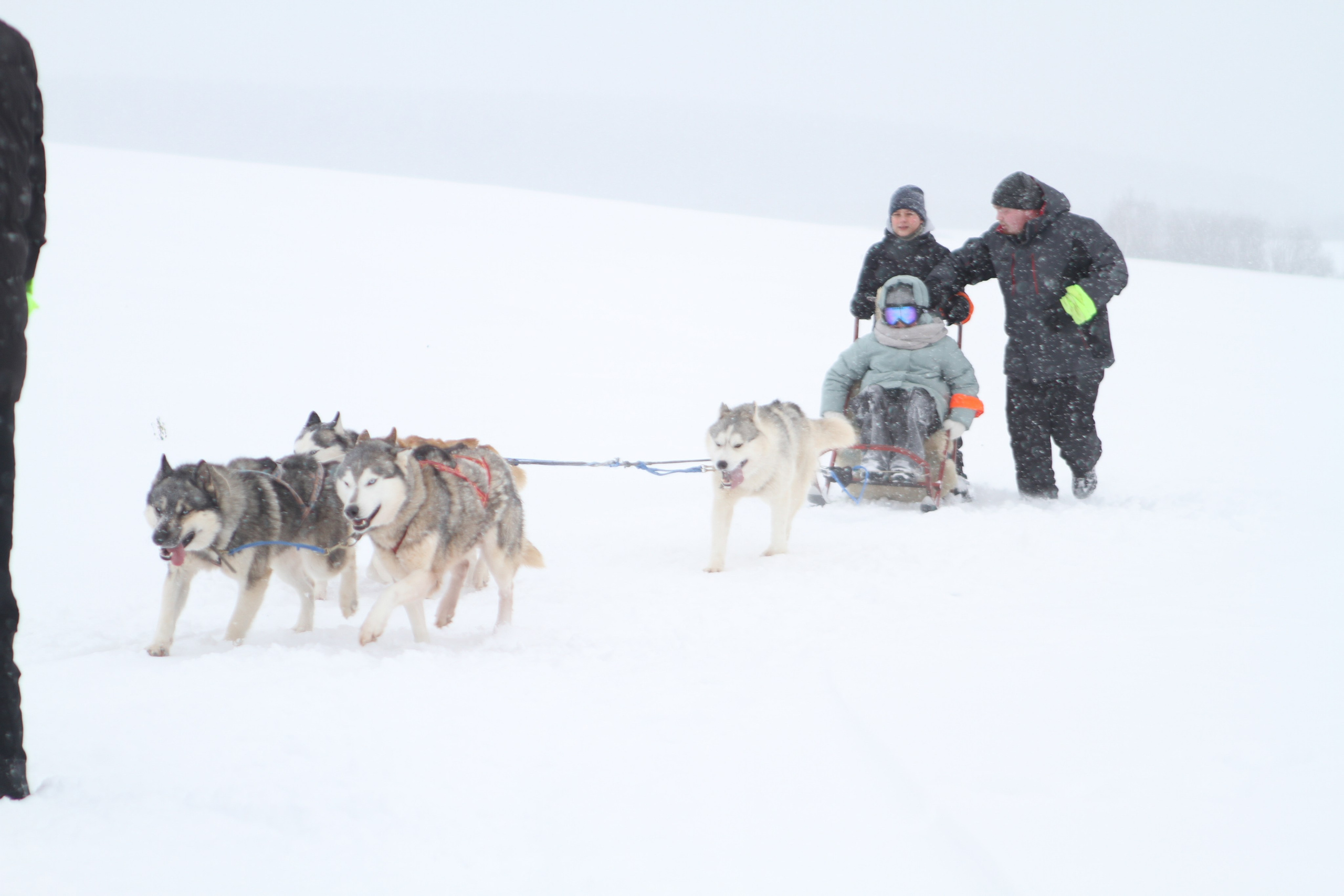 Мир животных. Репортажный и спортивный фотограф в г. Пермь Зильберг Павел