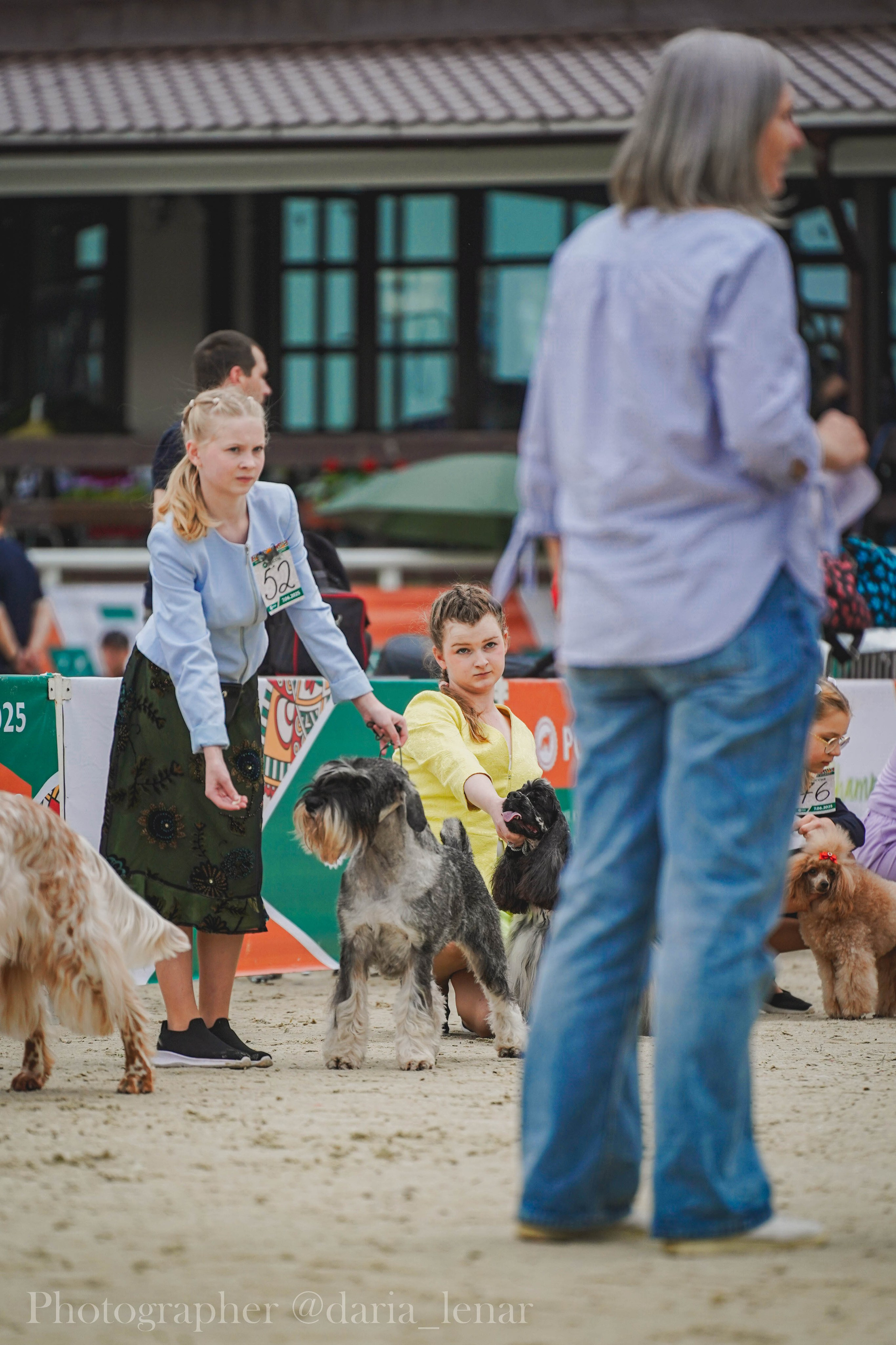 Выставки собак. Фотограф в Москве Ленарская Дарья