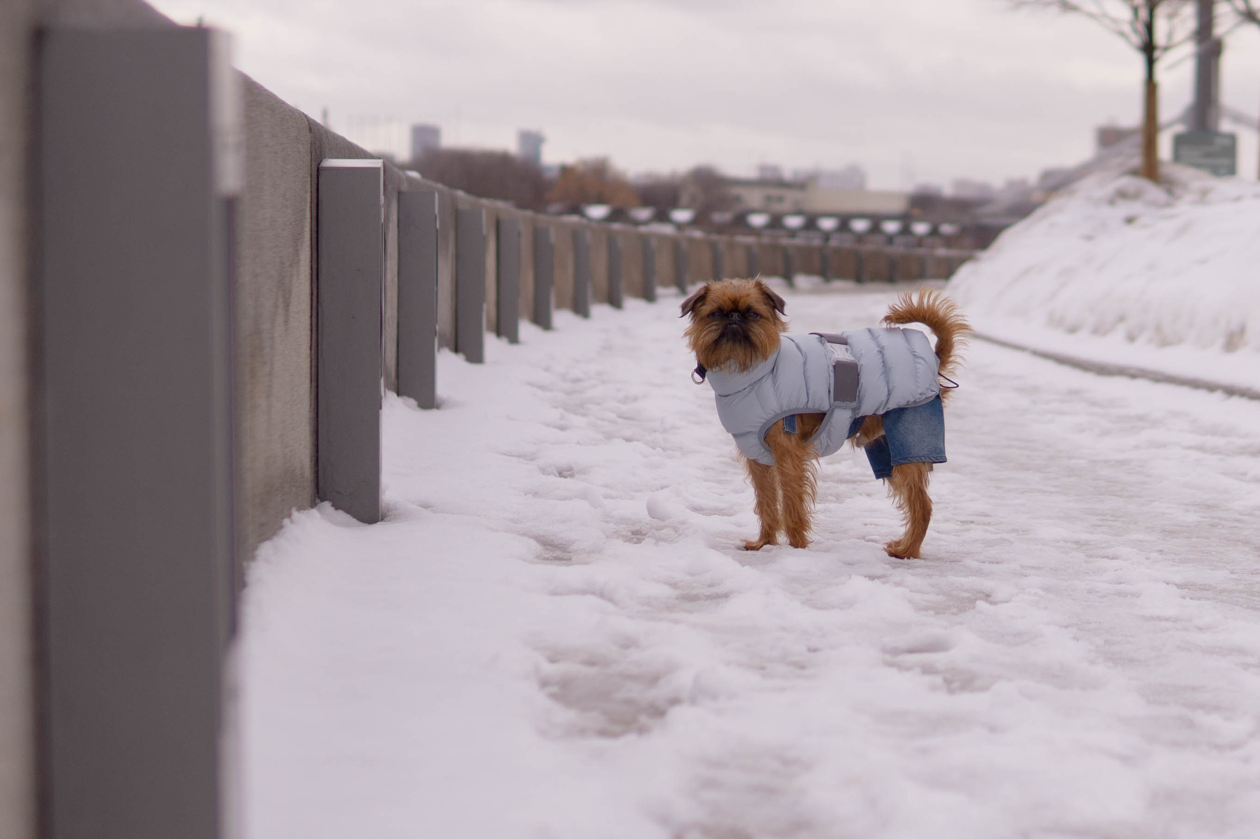 Наташа и Хавьер. Фотограф-анималист Ксения Воробьева, Москва