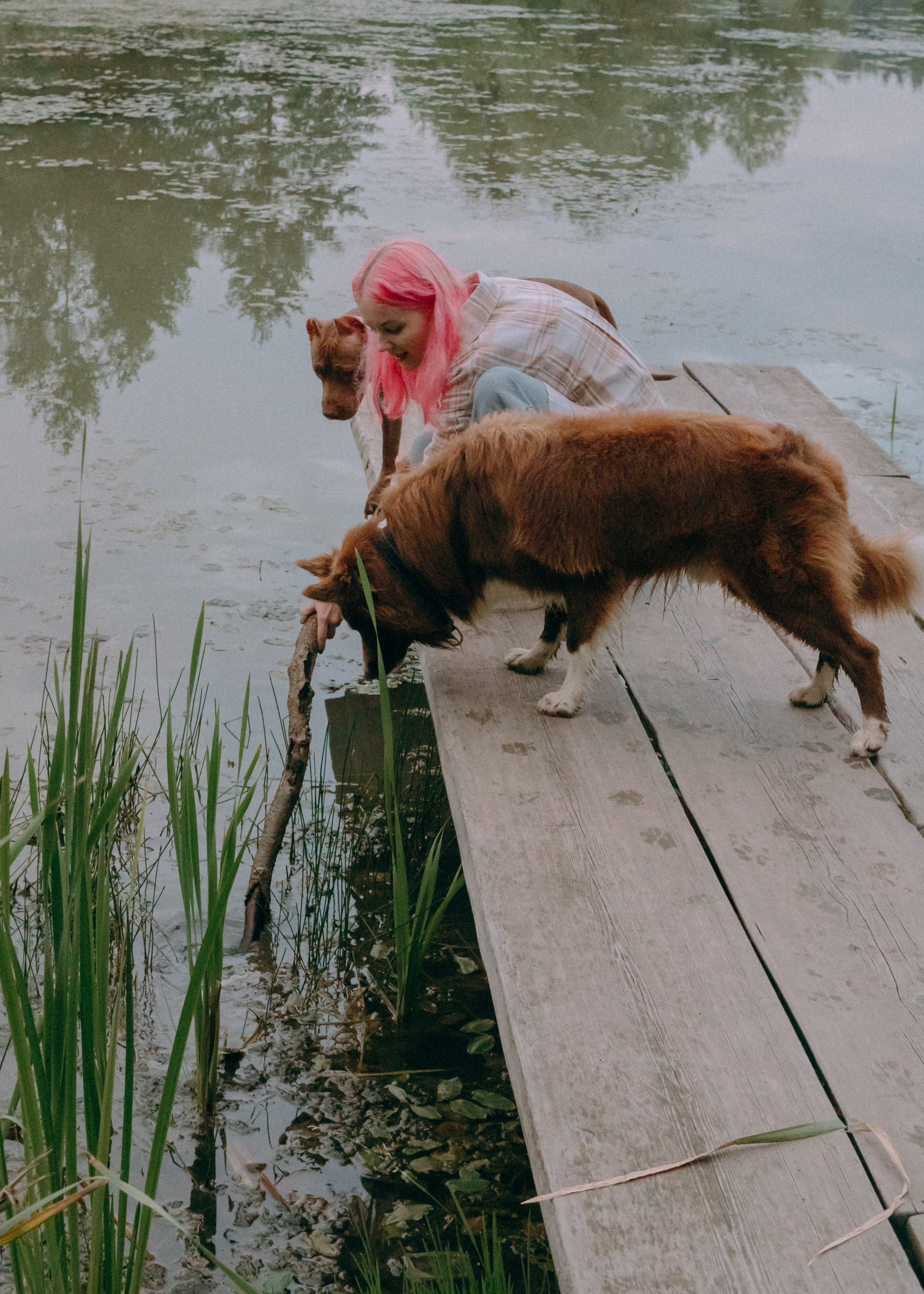 Виолетта, Лила и Питер. Фотограф-анималист Ксения Воробьева, Москва