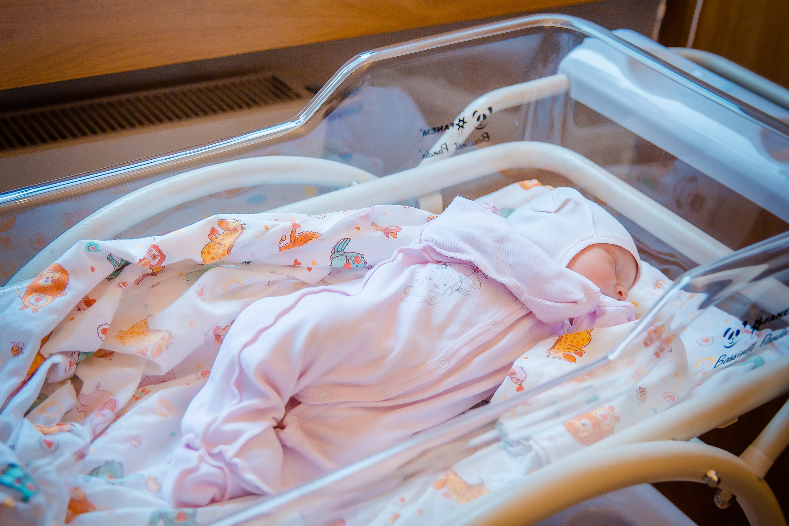 ВЫПИСКА МАРИИ ДМИТРИЕВНЫ. Современные Выпускные Альбомы в Ростове-на-Дону