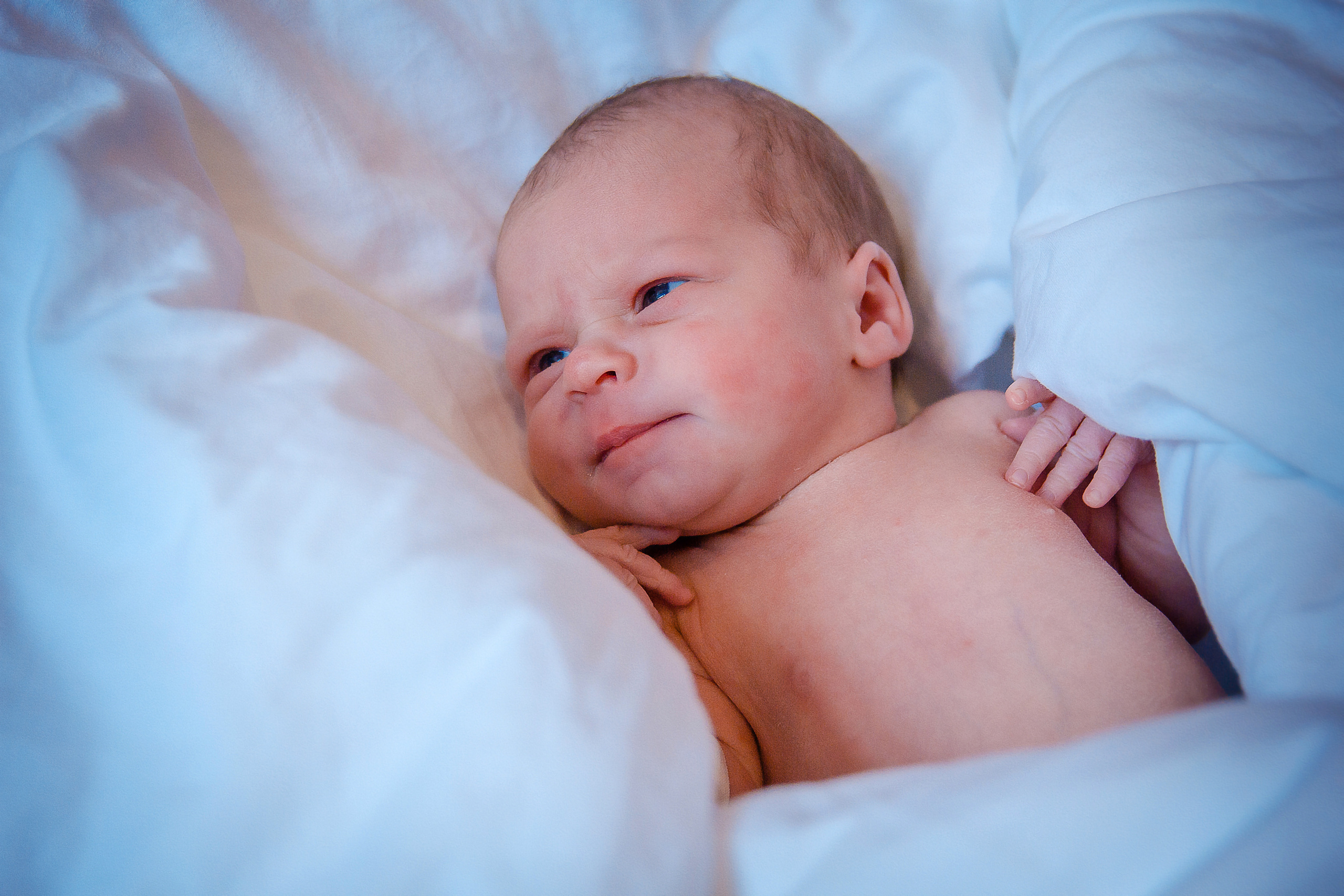 ВЫПИСКА МАРИИ ДМИТРИЕВНЫ. Современные Выпускные Альбомы в Ростове-на-Дону