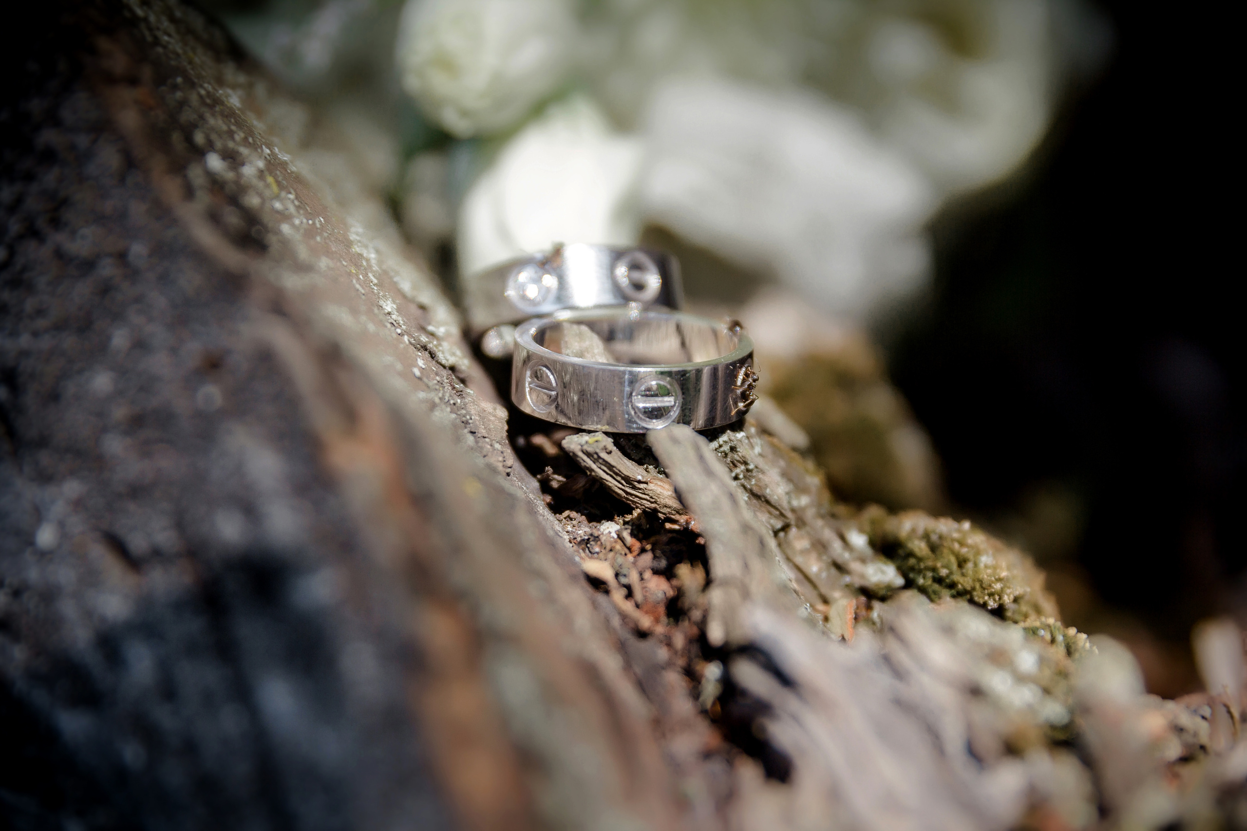 Свадьба Татьяны и Виктора. Современные Выпускные Альбомы в Ростове-на-Дону