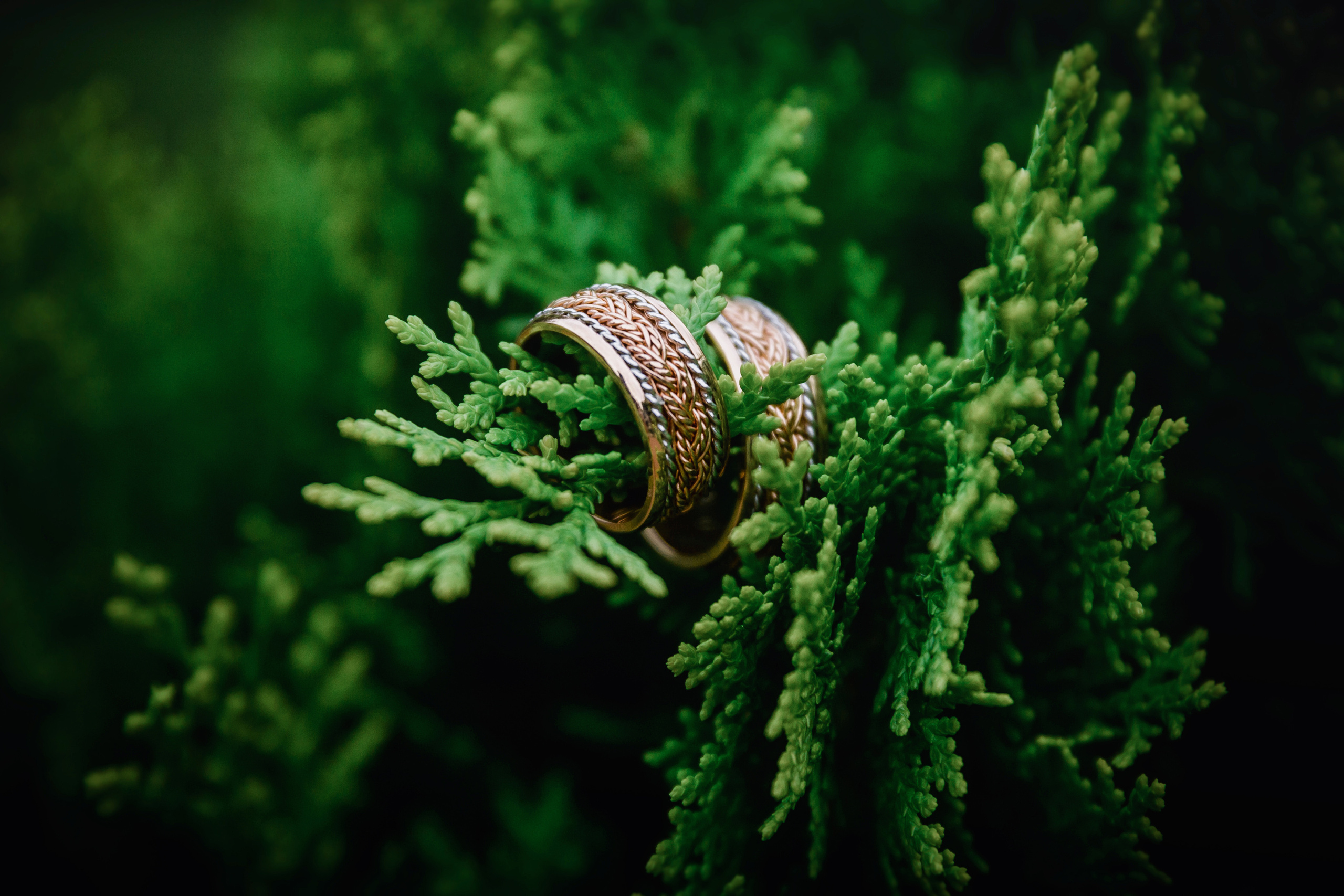 Свадьба Екатерина и Сергея. Современные Выпускные Альбомы в Ростове-на-Дону