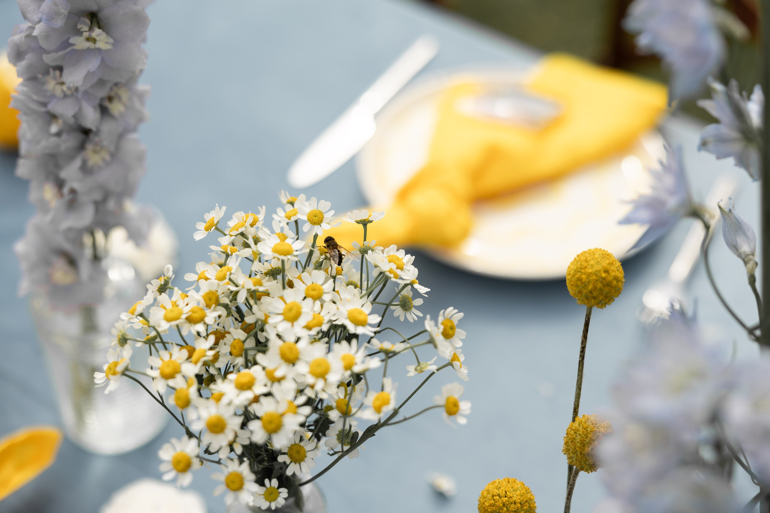 Артур и Таисия. Свадебный фотограф Тула Москва СПБ / Сёмина Дарья