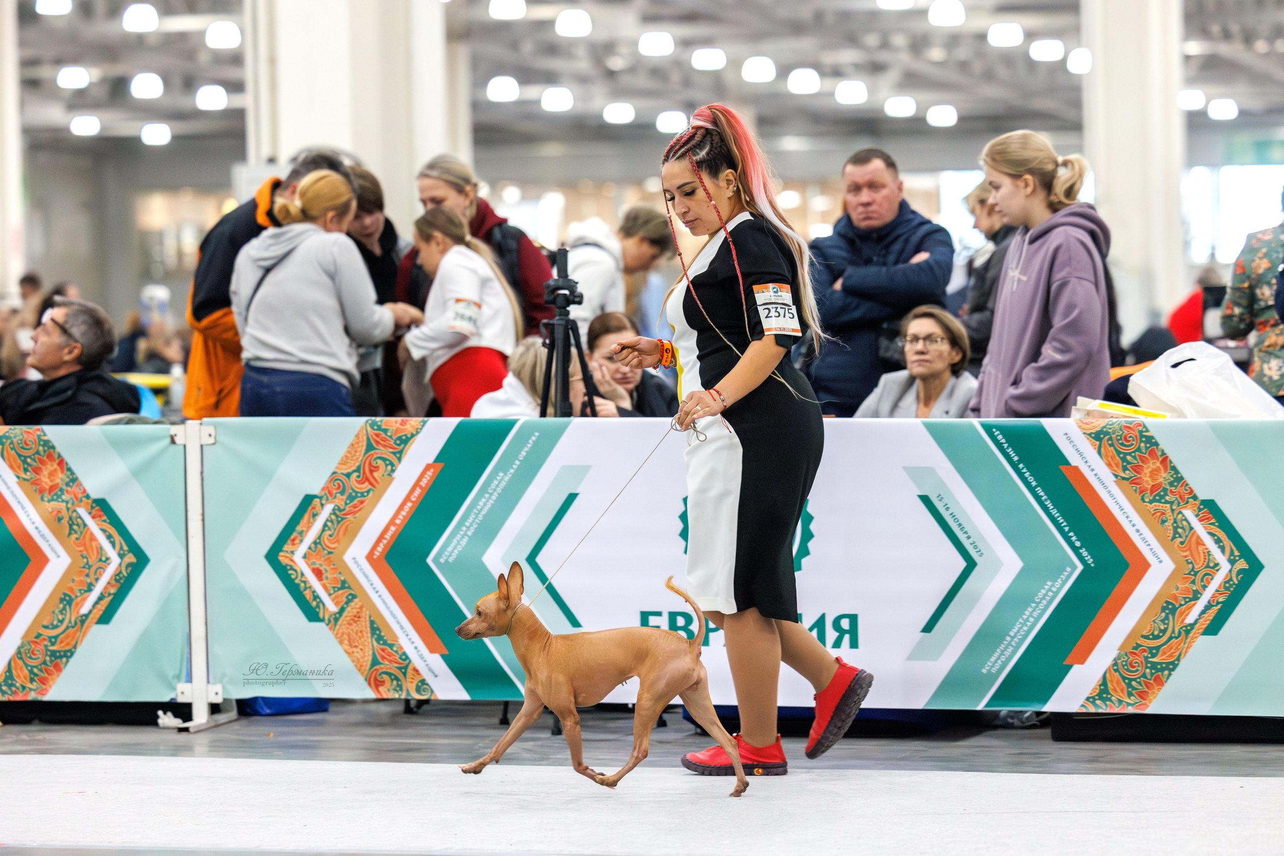 Евразия 15-16.11.2025. Фотограф-анималист Юлия Германика