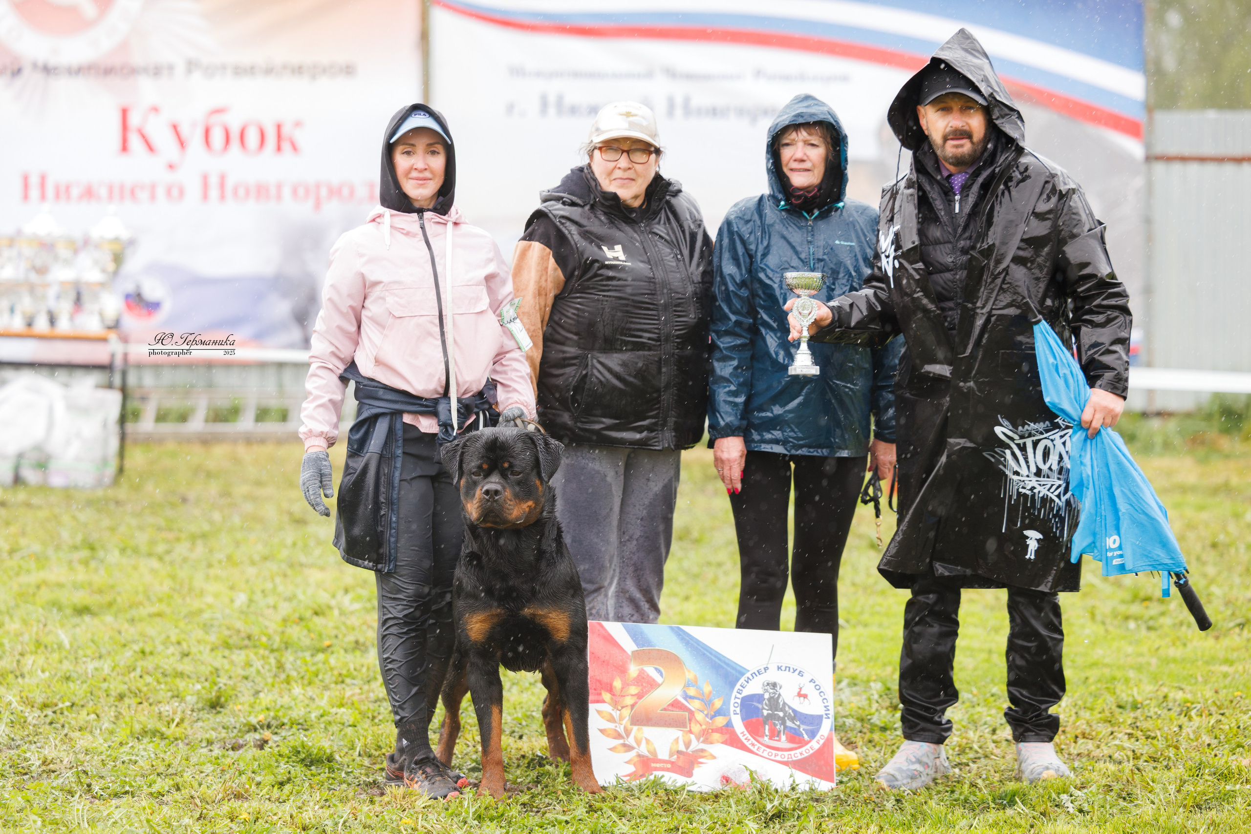 Нижний Новгород 2хмоно ротвейлеров 10-11.05.2025. Фотограф-анималист Юлия Германика