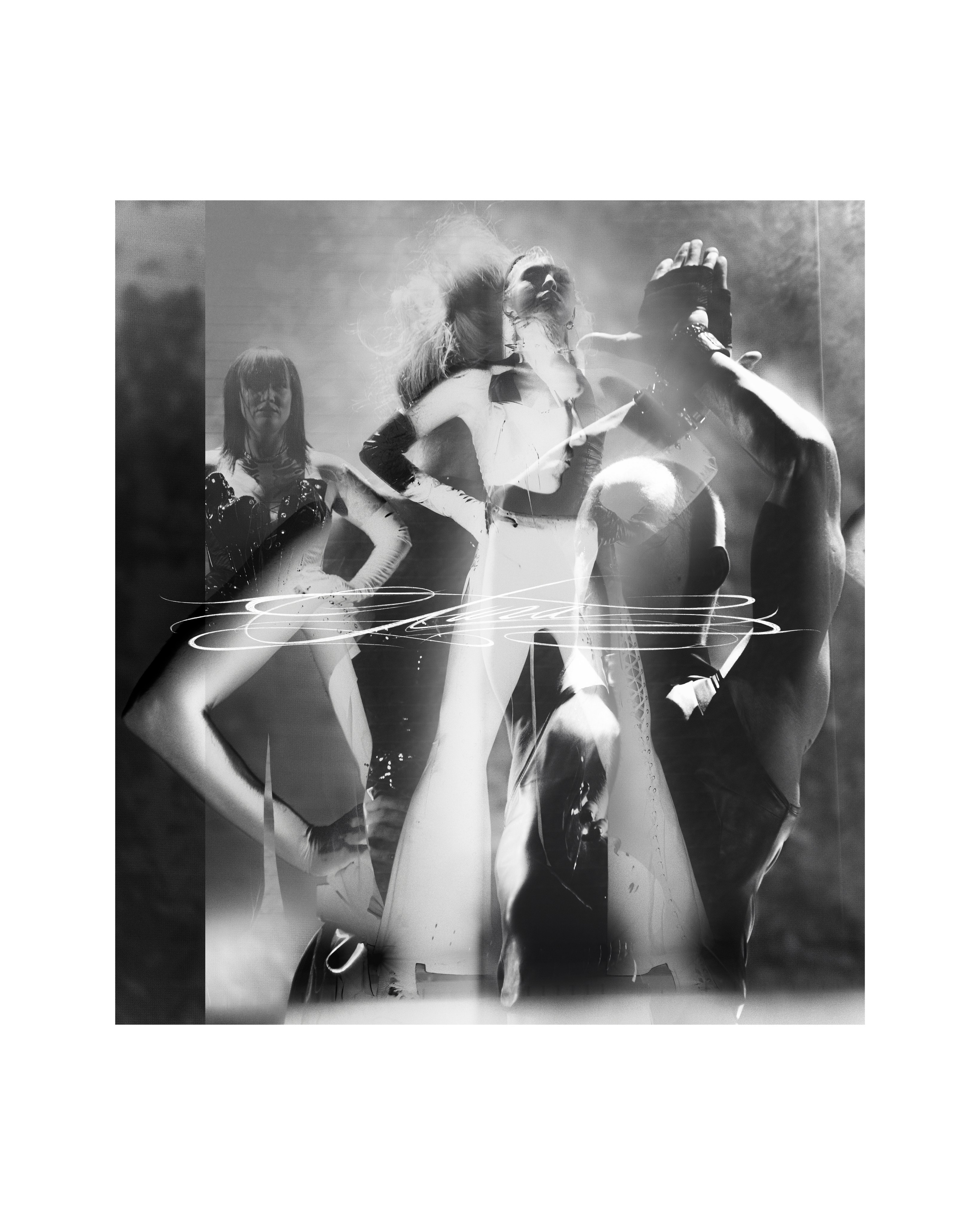 Bonchinche. PLANTA ROSA — REPORTAGE