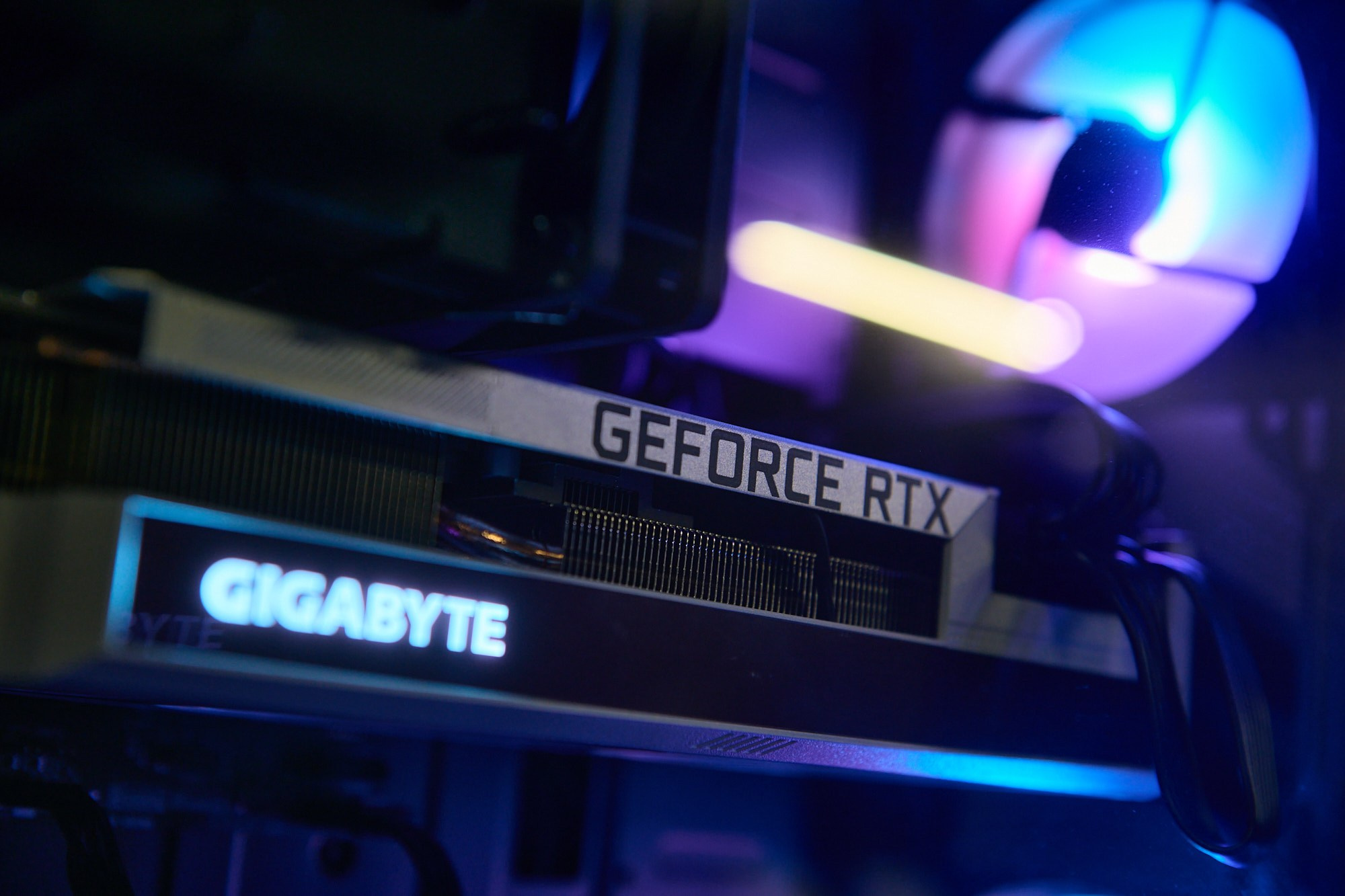 True Gamers. Репортажный фотограф в Москве Вадим Францев