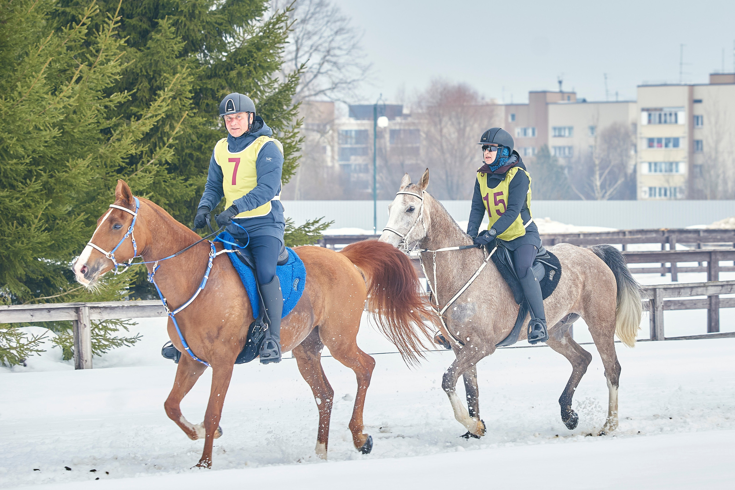 HORSE RACING. Фотограф Наталья Леонова