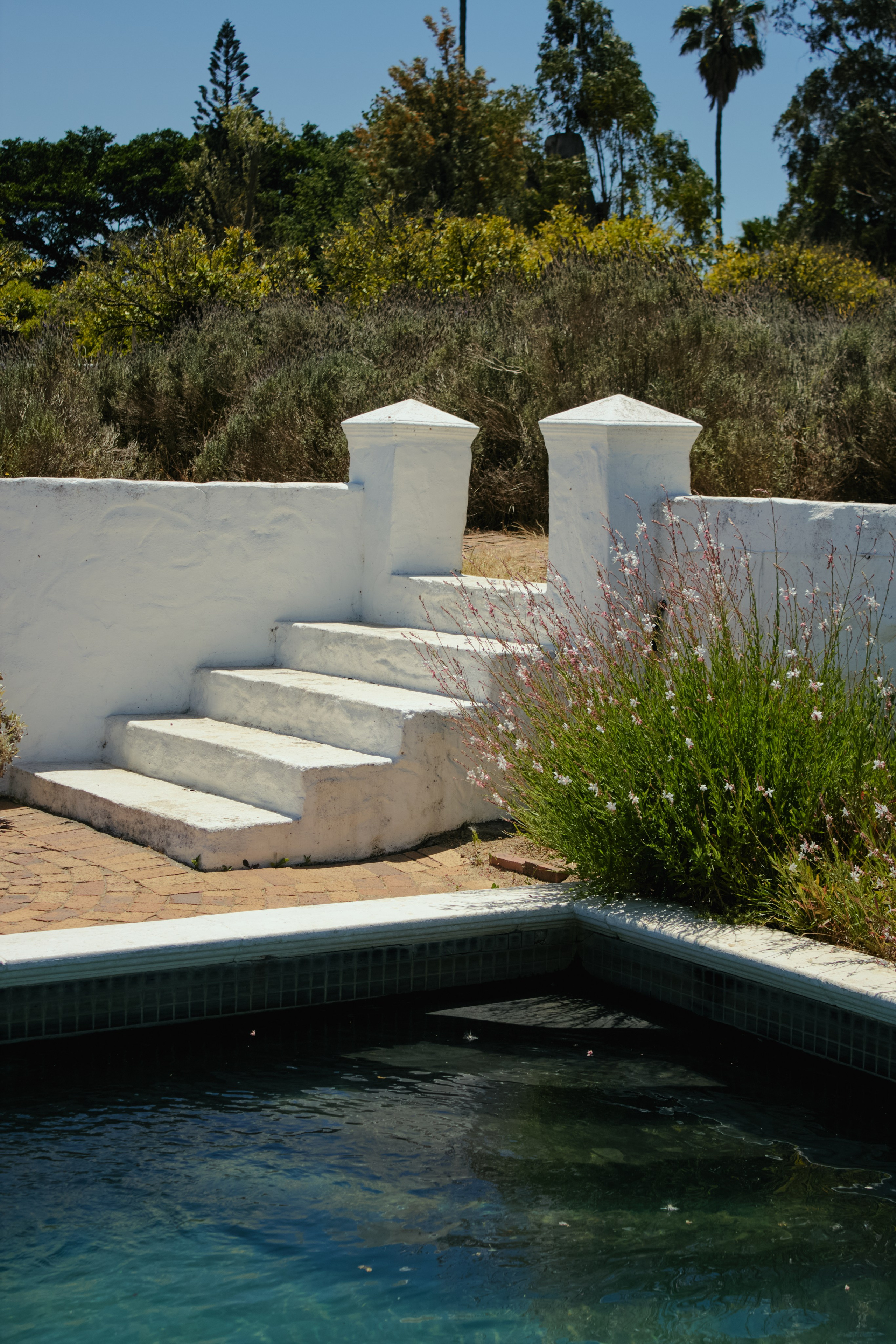 ЮАР. Профессиональный Фотограф во Владимире, в Москве и в Суздале — Полина Романычева