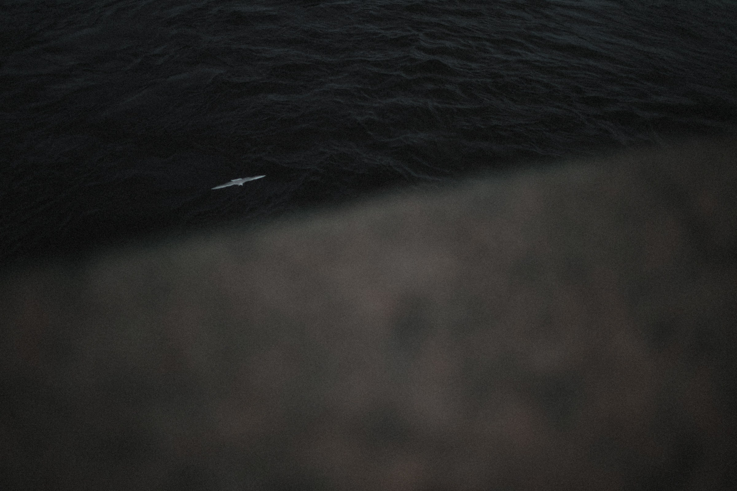 Питер. Свадебный и семейный фотограф Москва, Спб, Крым Игорь Сазонов