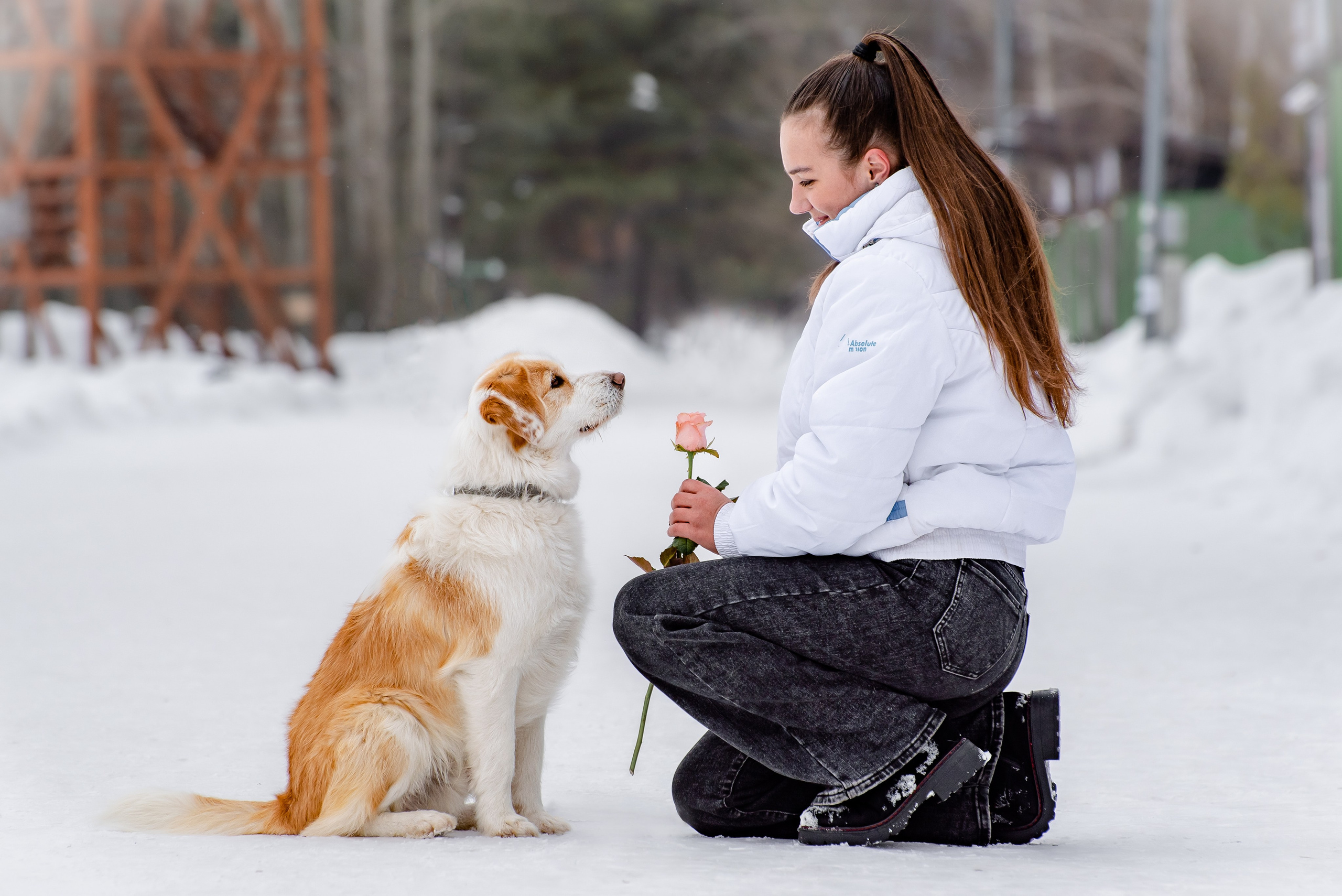 Прогулочная фотосессия с собакой. Фотограф Макс Огурцов в Нижнем Новгороде