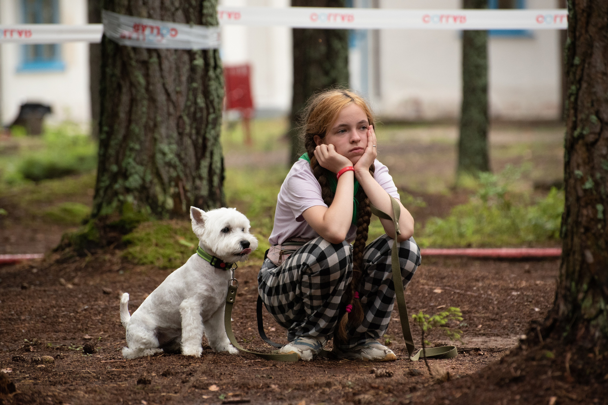 Хвостатые каникулы Детский кинологический лагерь. Фотограф Макс Огурцов в Нижнем Новгороде