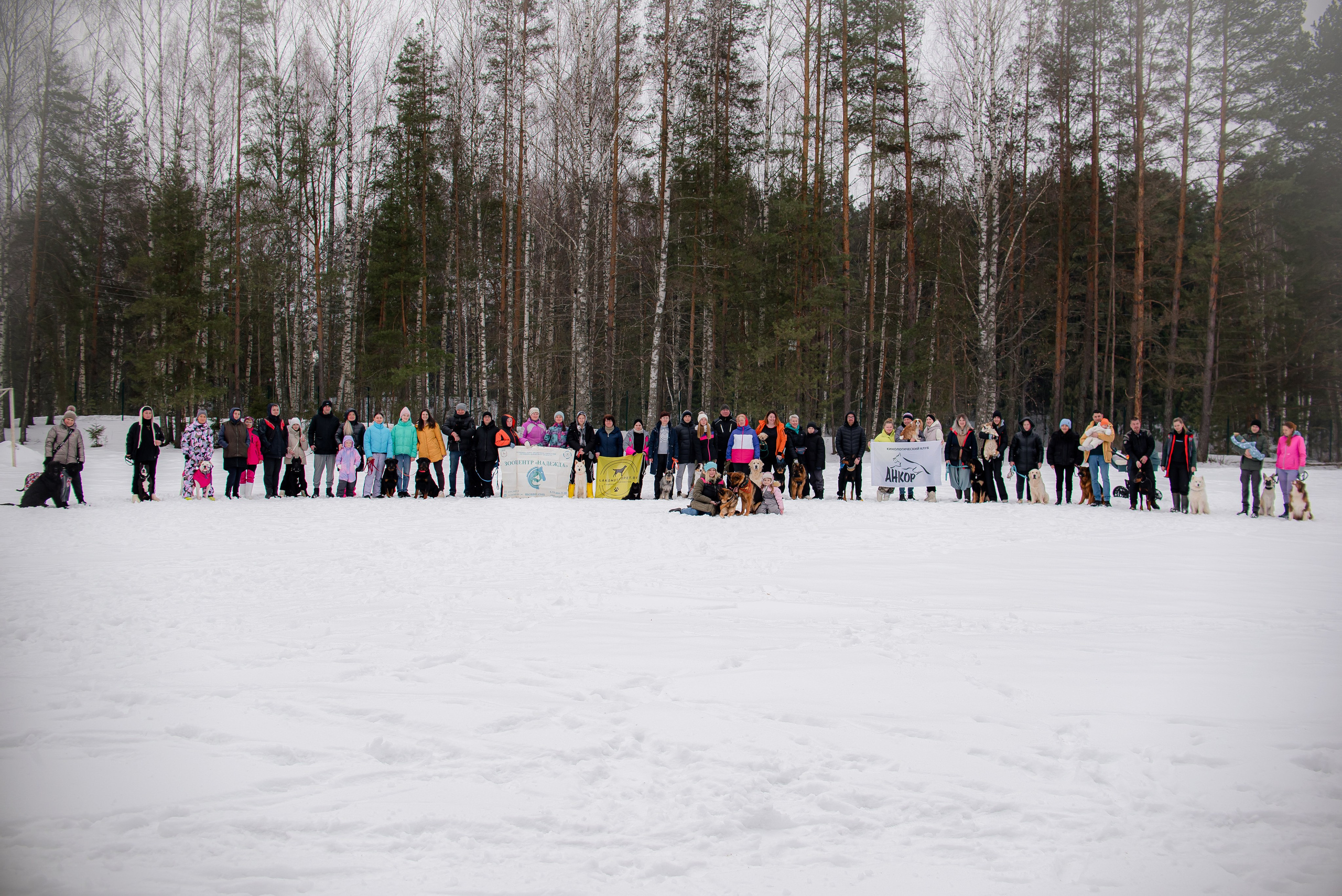 Фотосъёмка с собаками в Кинологическом лагере. Фотограф Макс Огурцов в Нижнем Новгороде