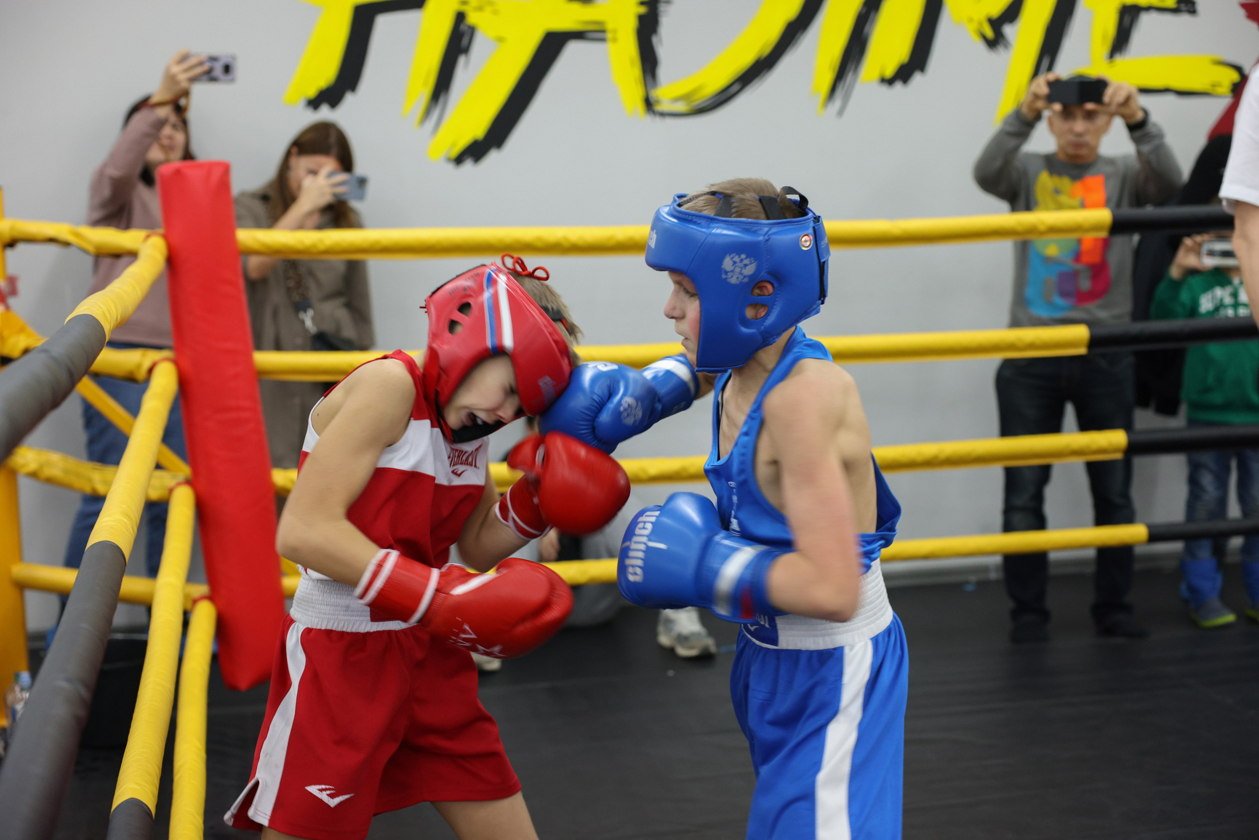 Открытый ринг «кубок ООО «ТЭК НеваСпецТяж». Фотограф Александр Заломаев