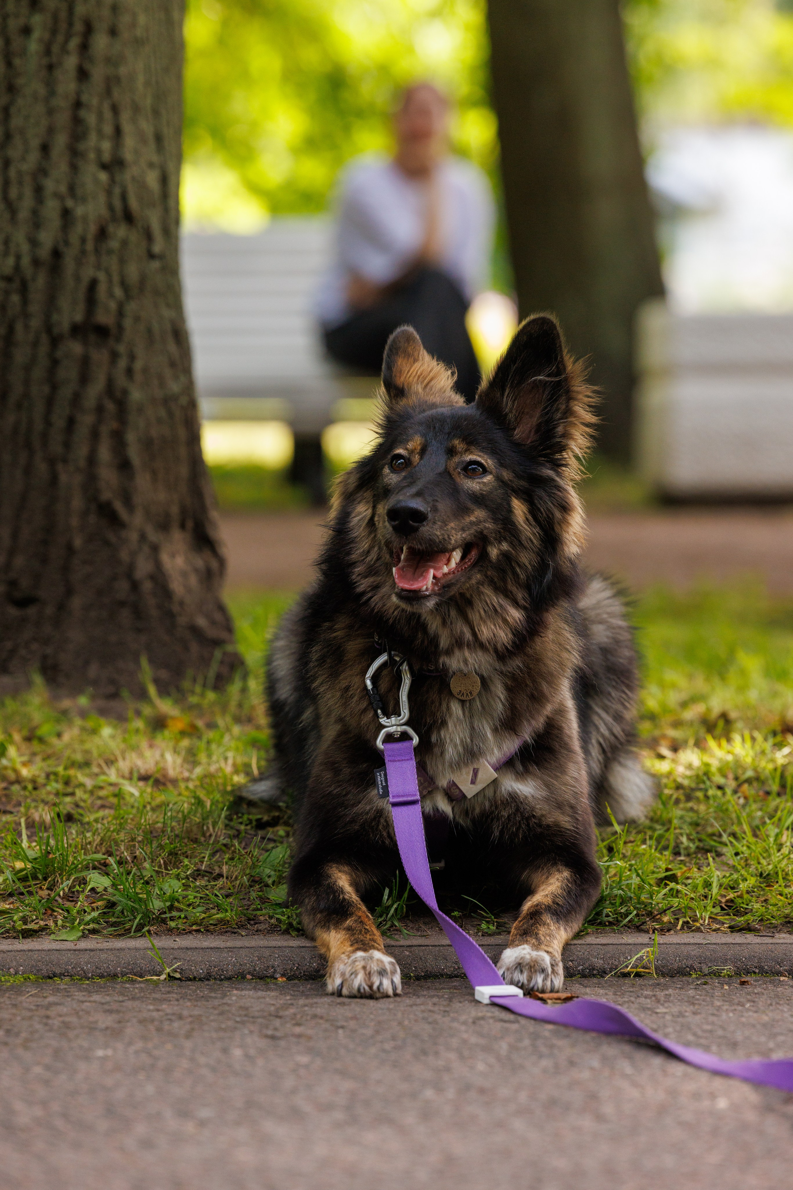PetShopDays2026. Фотограф Александр Заломаев