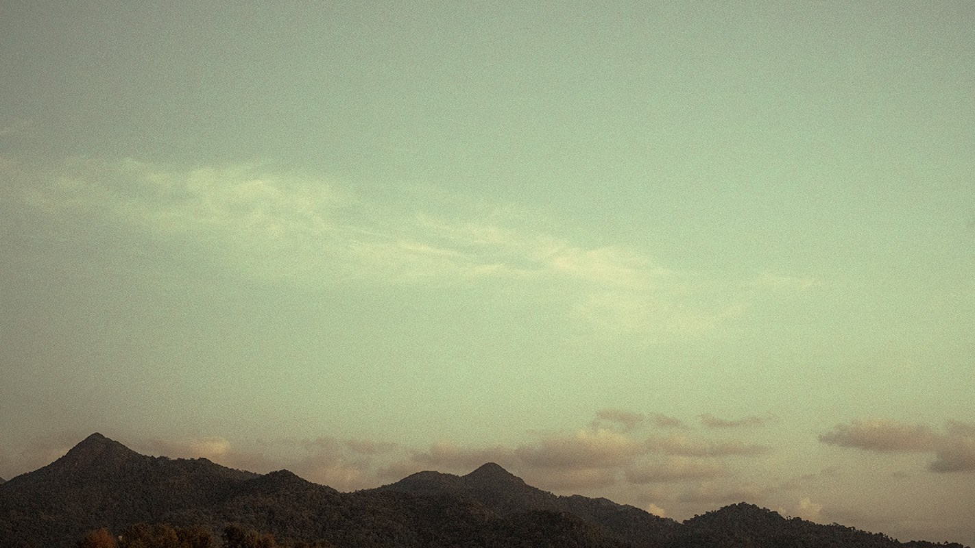 Limited Edition. Арт фотограф Виктория Фатина Москва | visual art