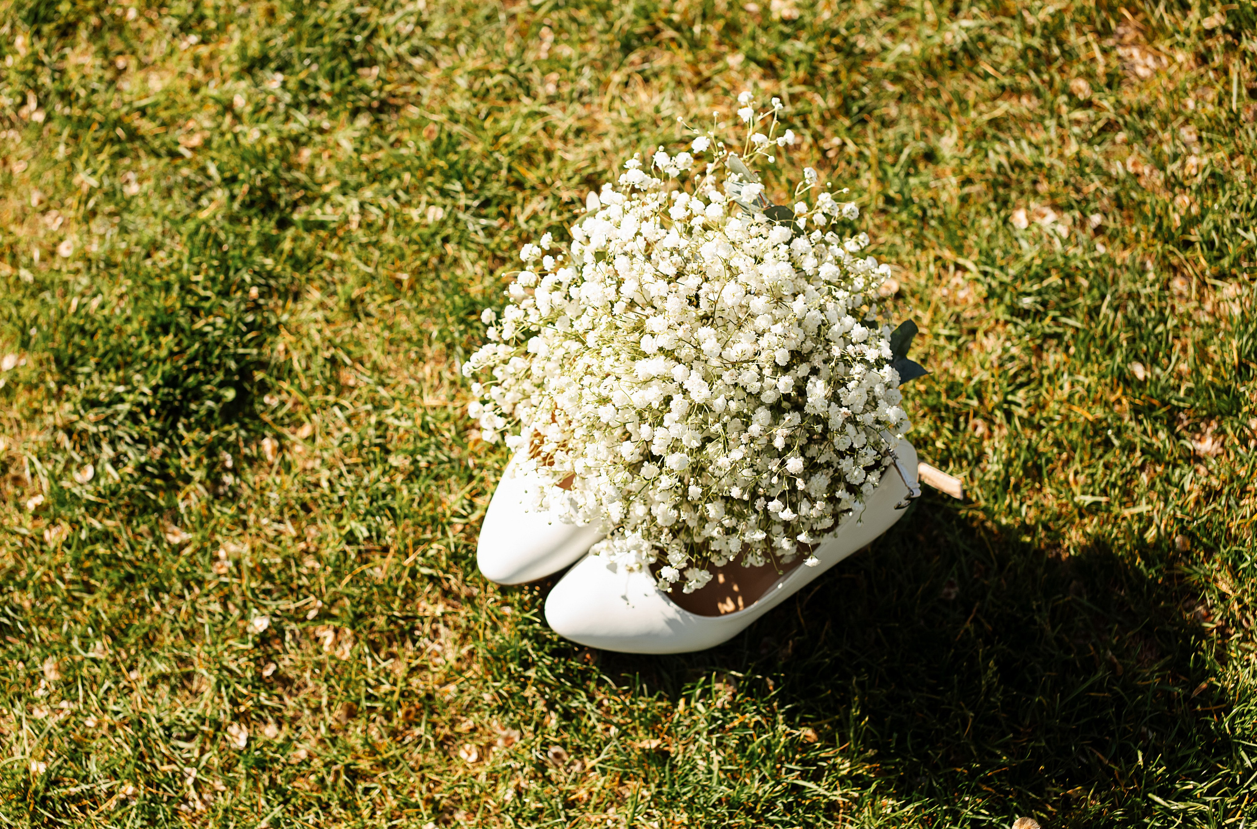 Wedding. Https://malovafoto.ru