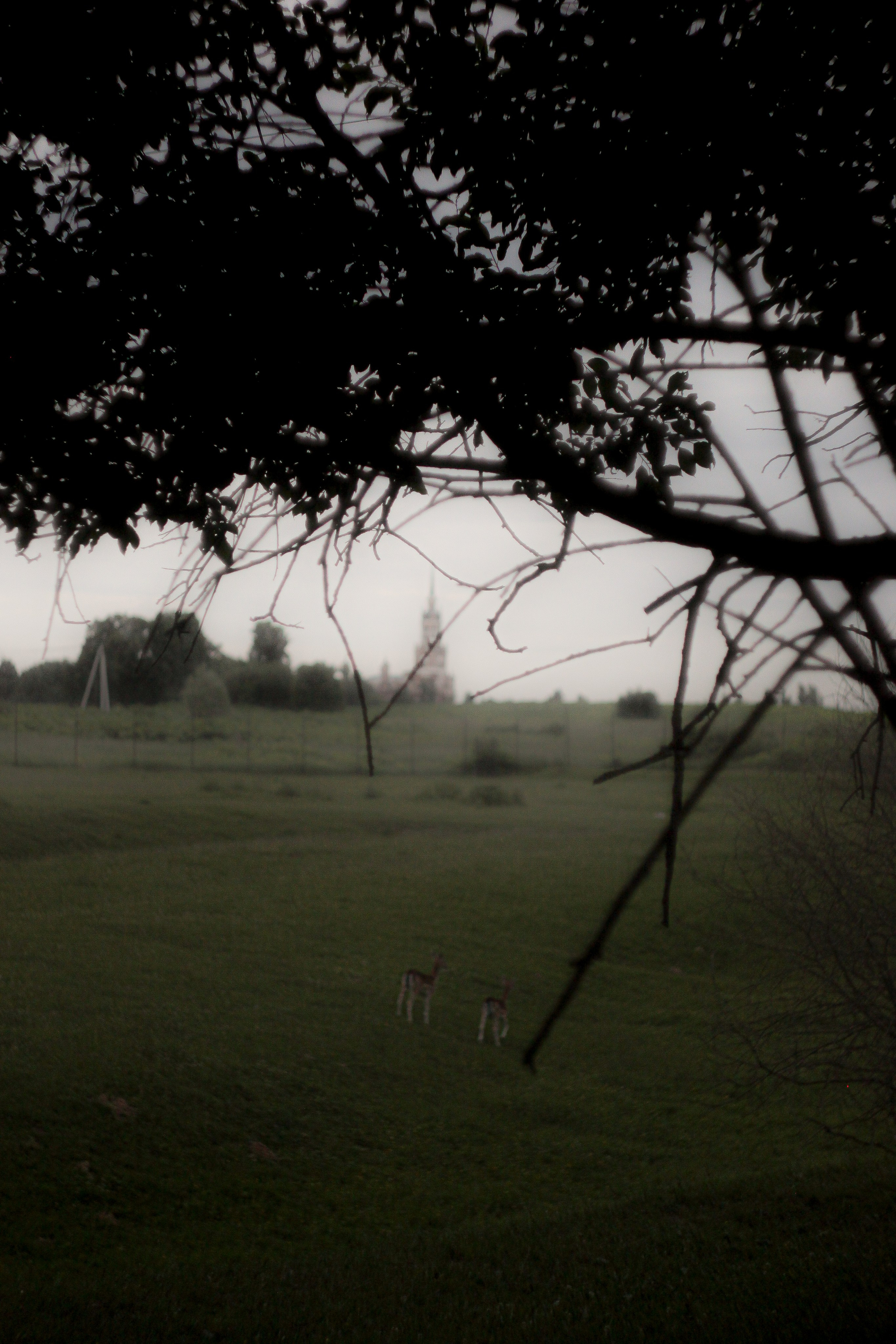 Эти волосы взял я у ржи. Портретный и художественный фотограф в Москве
