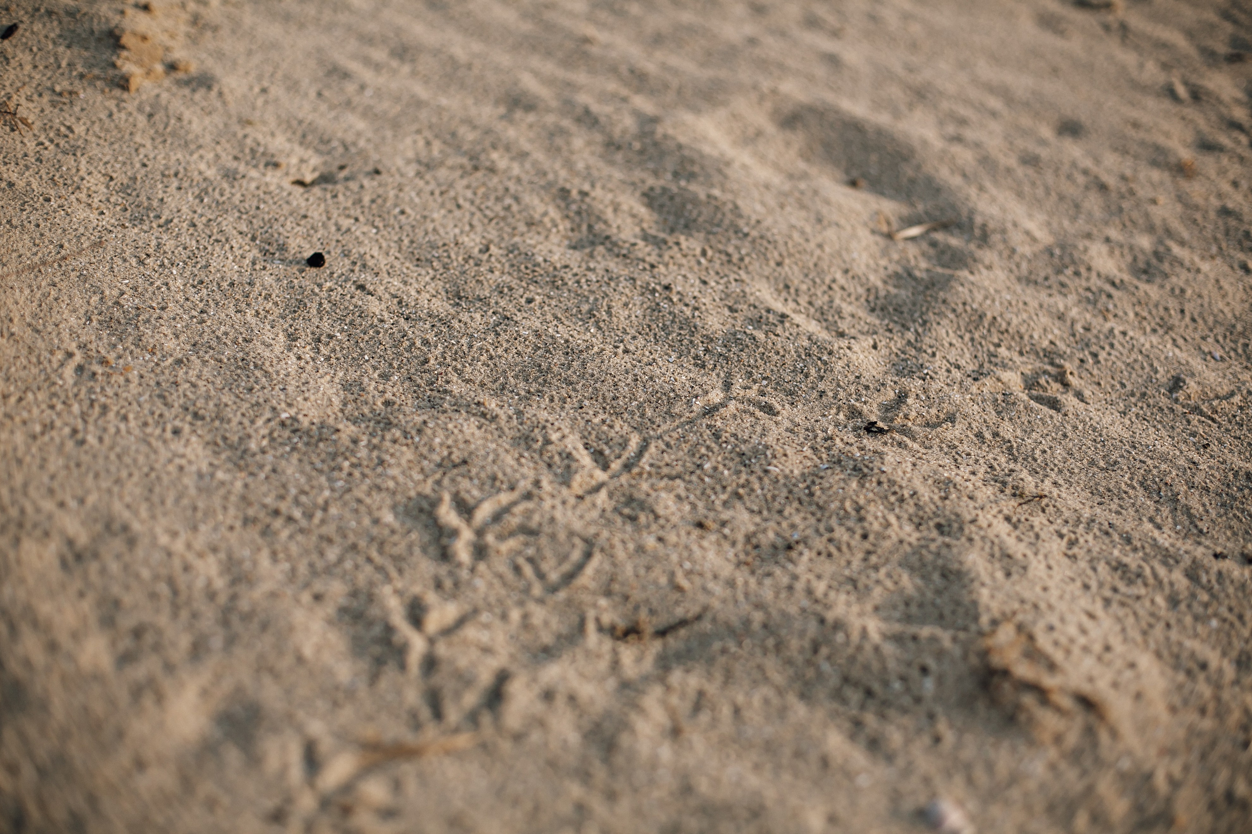 На побережье. Семейный и детский фотограф в Ростове-на-Дону Мария Курутина