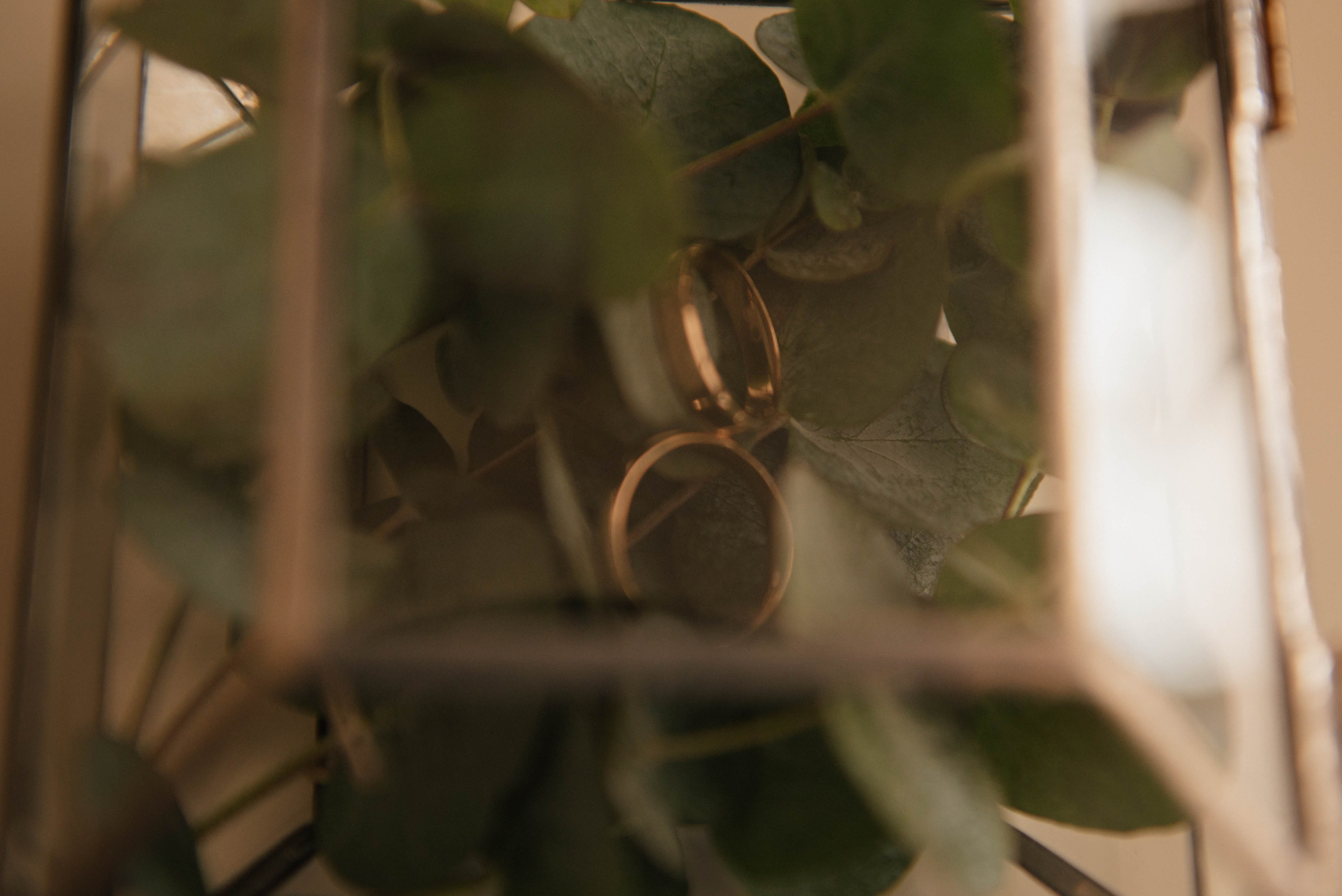 Свадьбы. Фотограф Злата Воробьёва | Москва