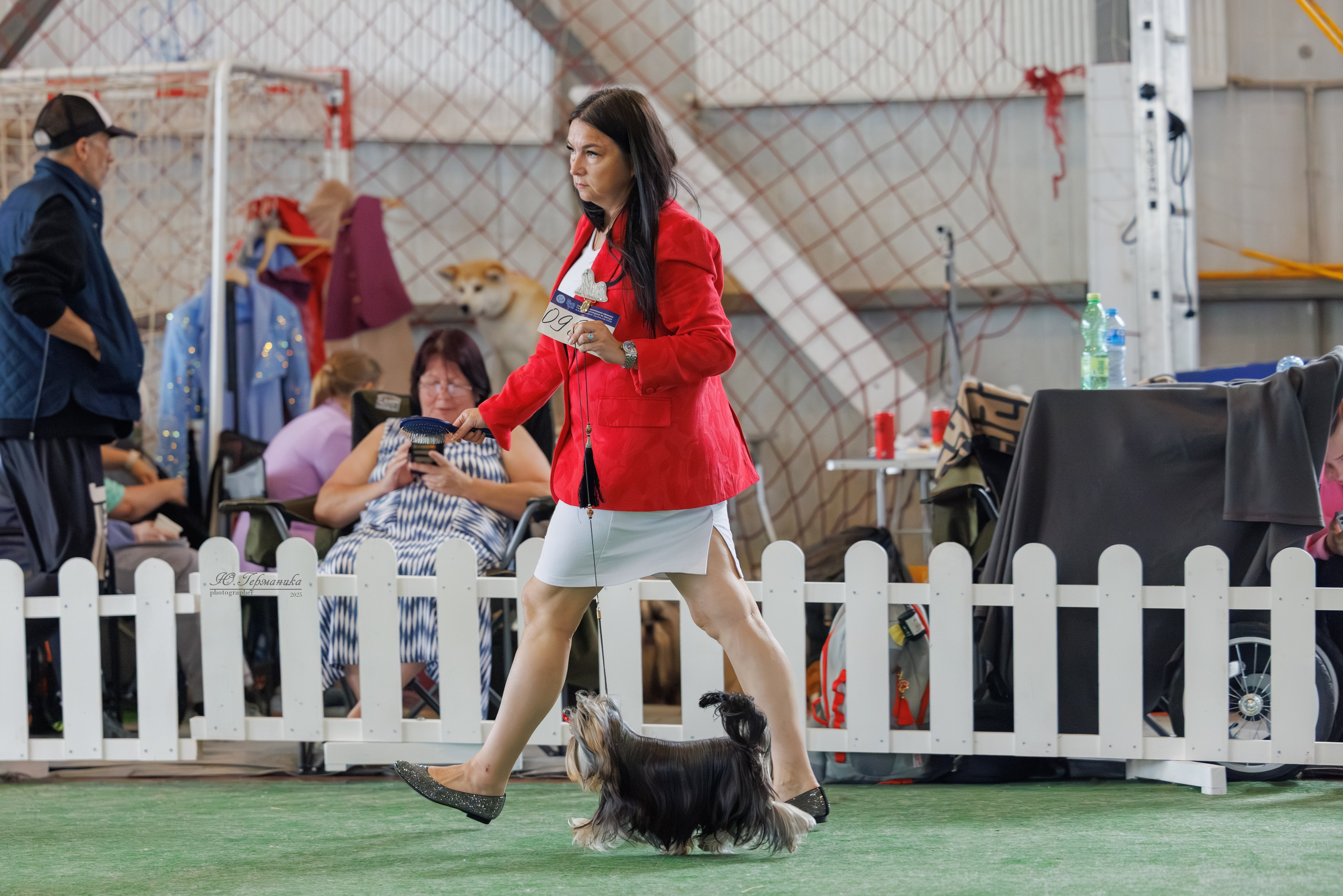 Батуми 3хCACIB 27-29.06.2025. Фотограф-анималист Юлия Германика