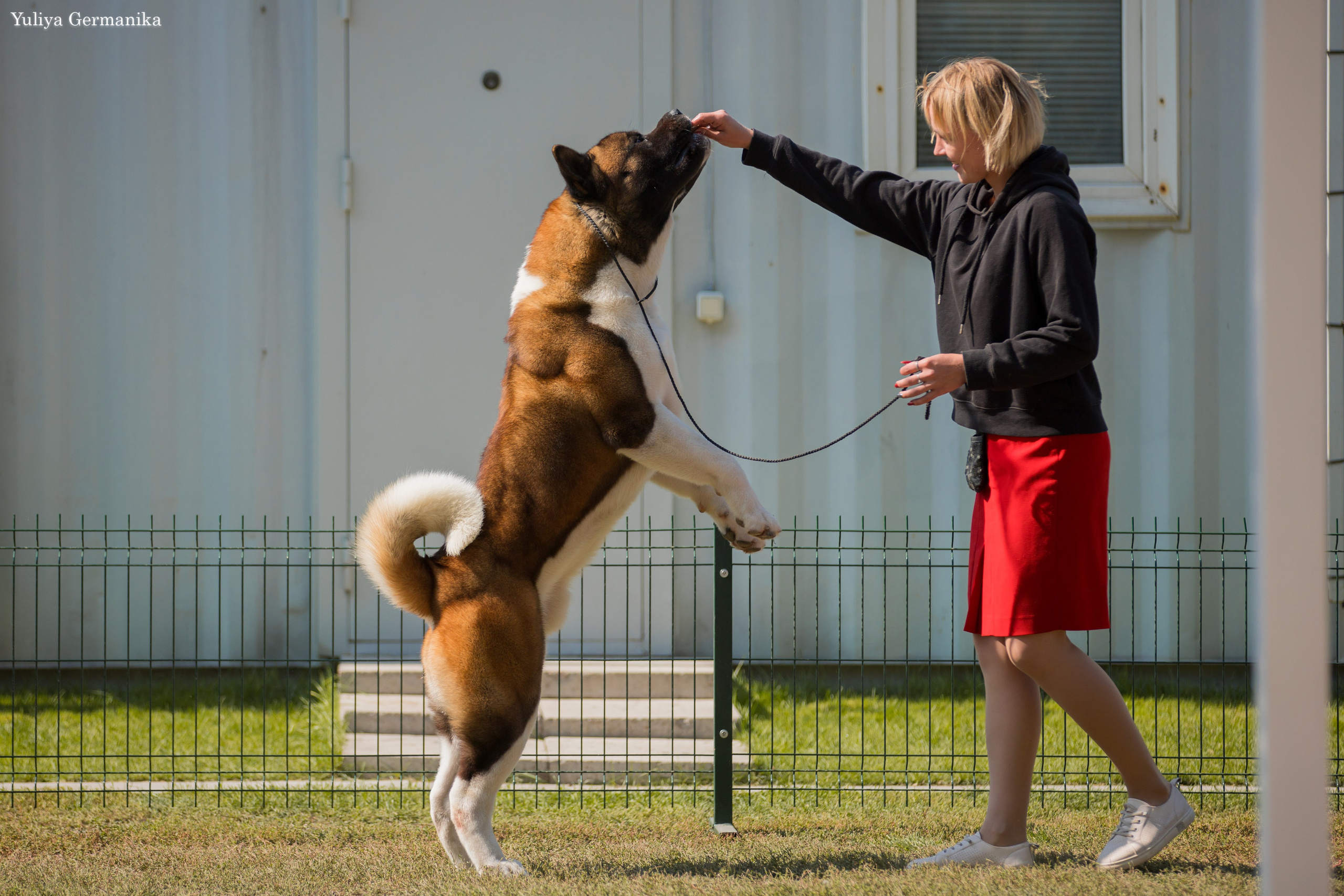 Бишкек 29.09-01.10.2023. Фотограф-анималист Юлия Германика