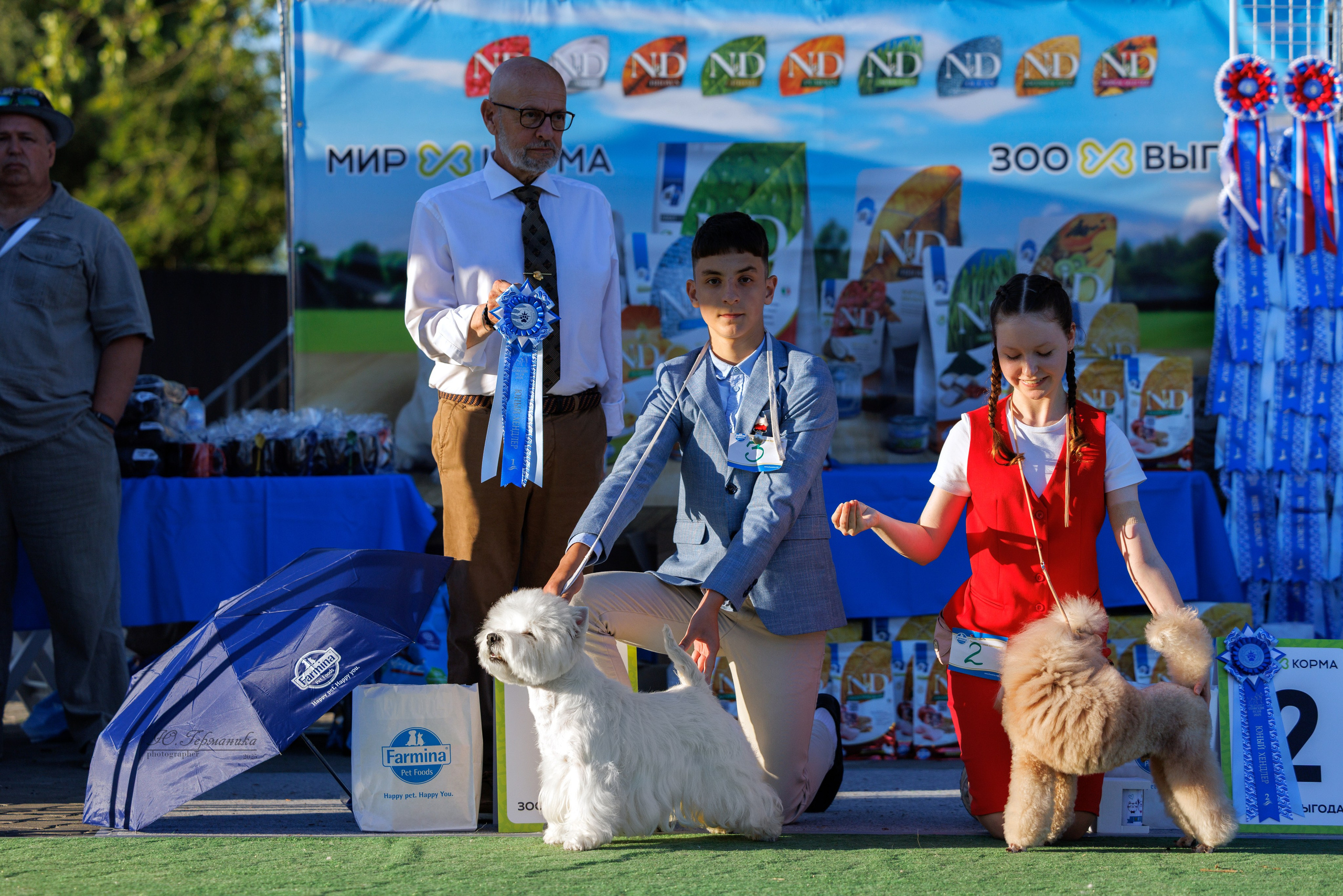 Калининград 25-27.07 Волгоград 1-3.08 2025. Фотограф-анималист Юлия Германика
