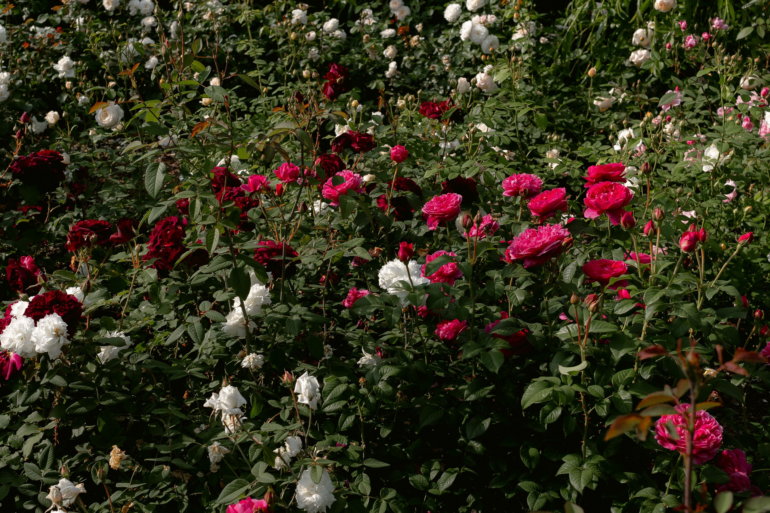 Эльдар & Марина