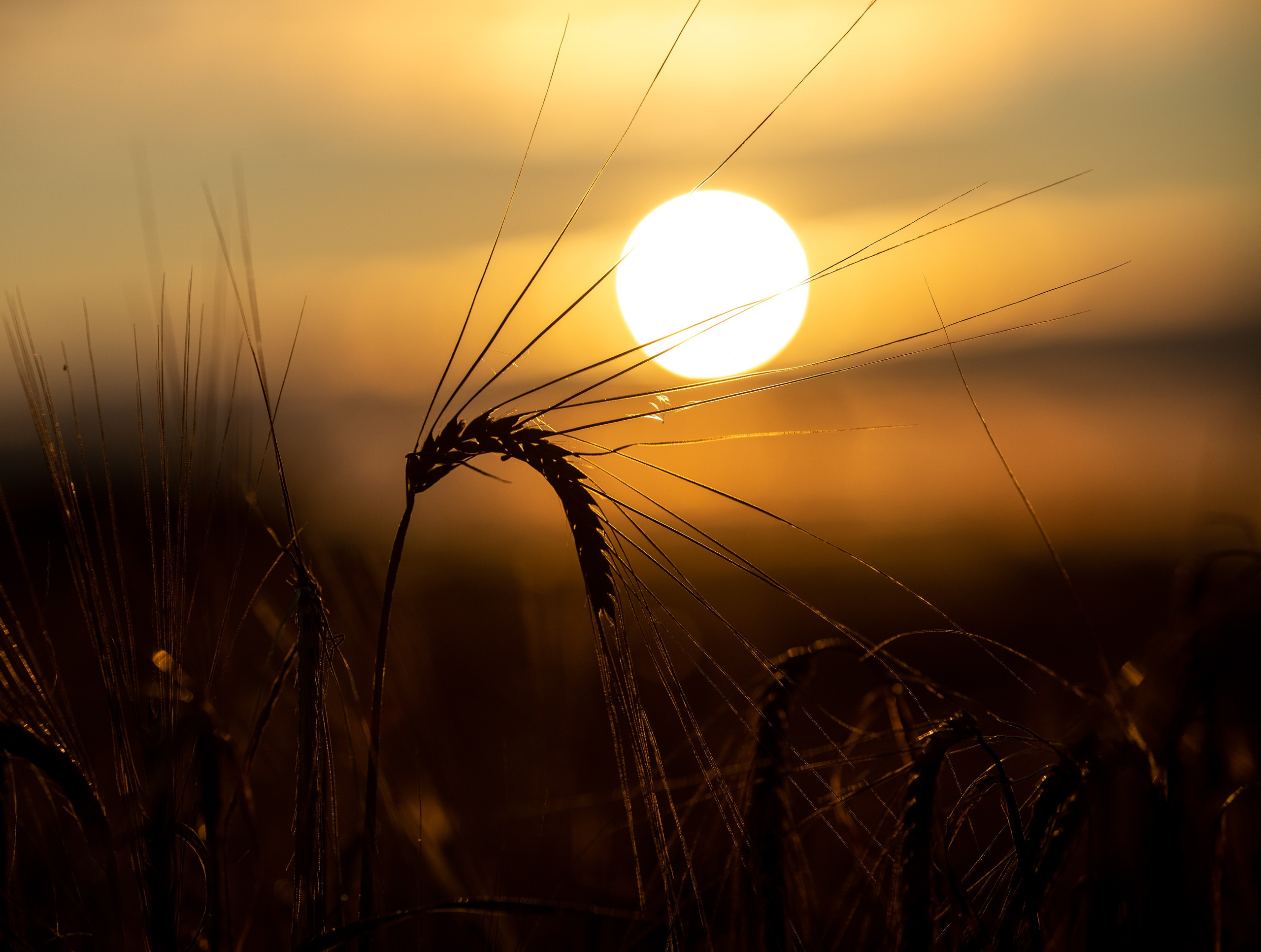 Природные пейзажи. Наталия Клевинскас портретный фотограф в Костроме