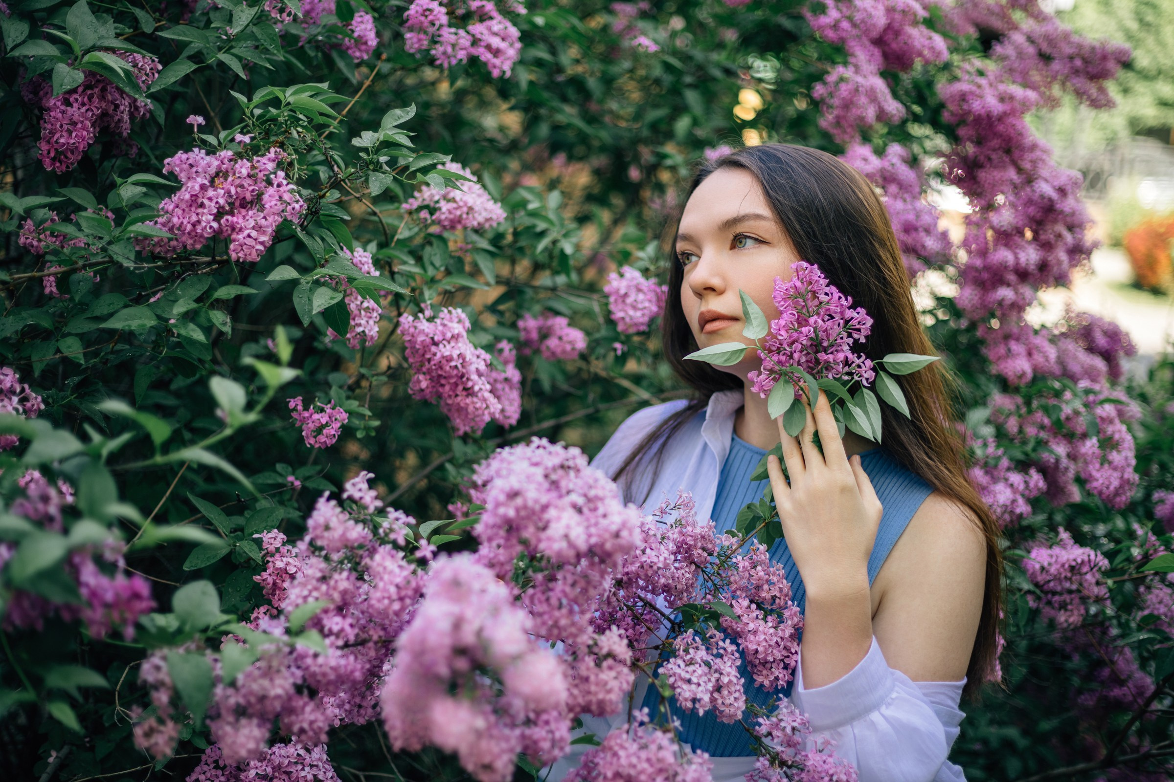 Смазы сирени. Екатерина. Июнь 2025. Фотограф Пермь. Свадьбы. Семья и дети, школа, д. сад. Фотокниги