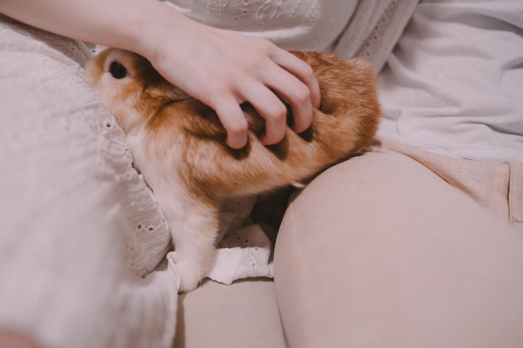 ВИКТОРИЯ И ДАНИИЛ. Фотограф Андрей Копий. Фотосъёмка в Нижнем Новгороде и Москве